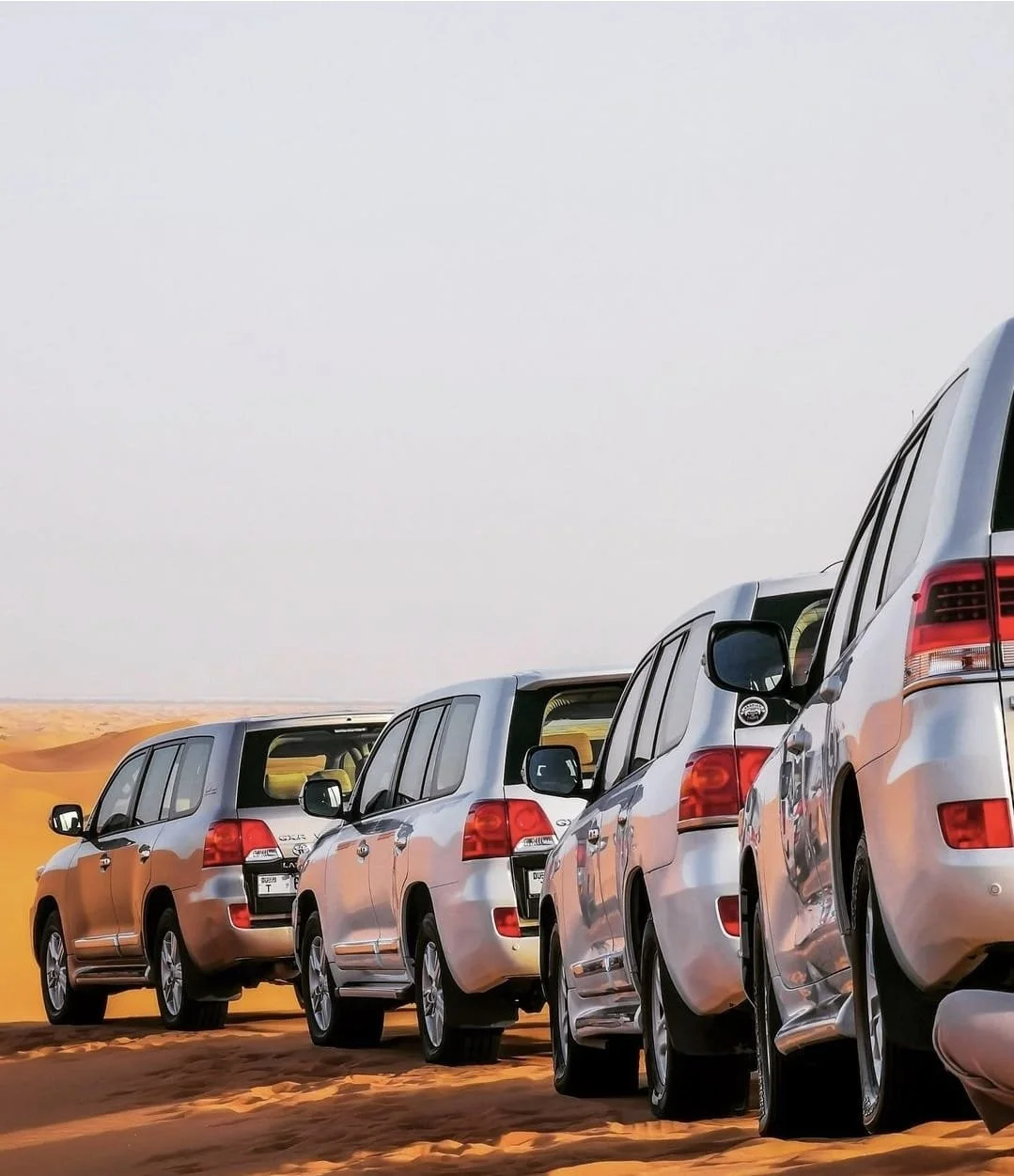 WhatsApp Image 2024-01-30 at 16.25.01 (3).jpeg