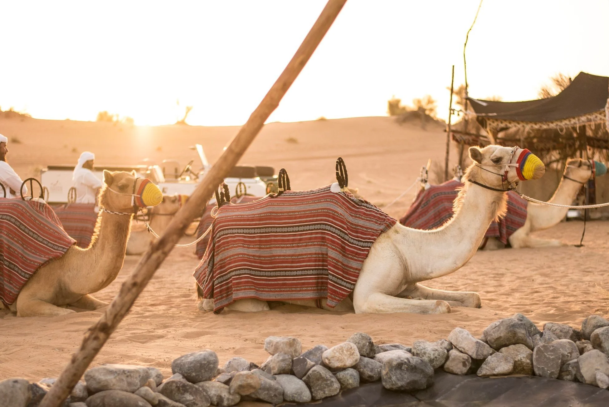 Bedouin+Culture+Safari+-+Platinum+Heritage+12+Camel+Ride.jpg