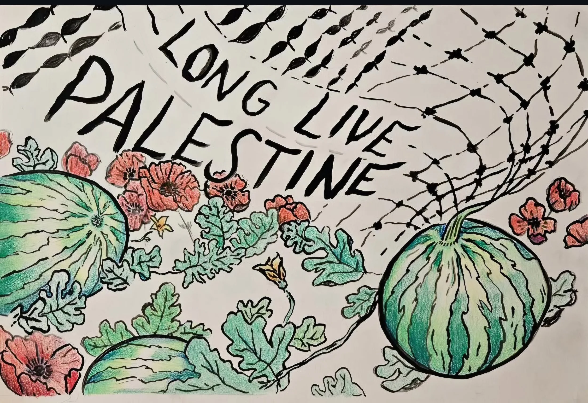 long live - watermelon.jpg