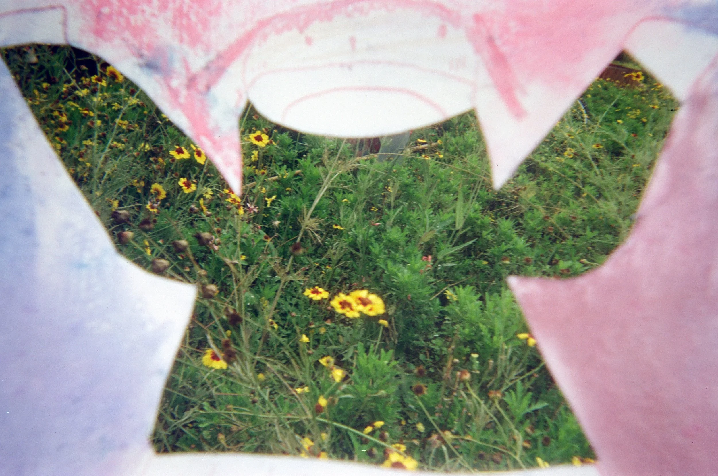 “靠着天性去感受和理解摄影”