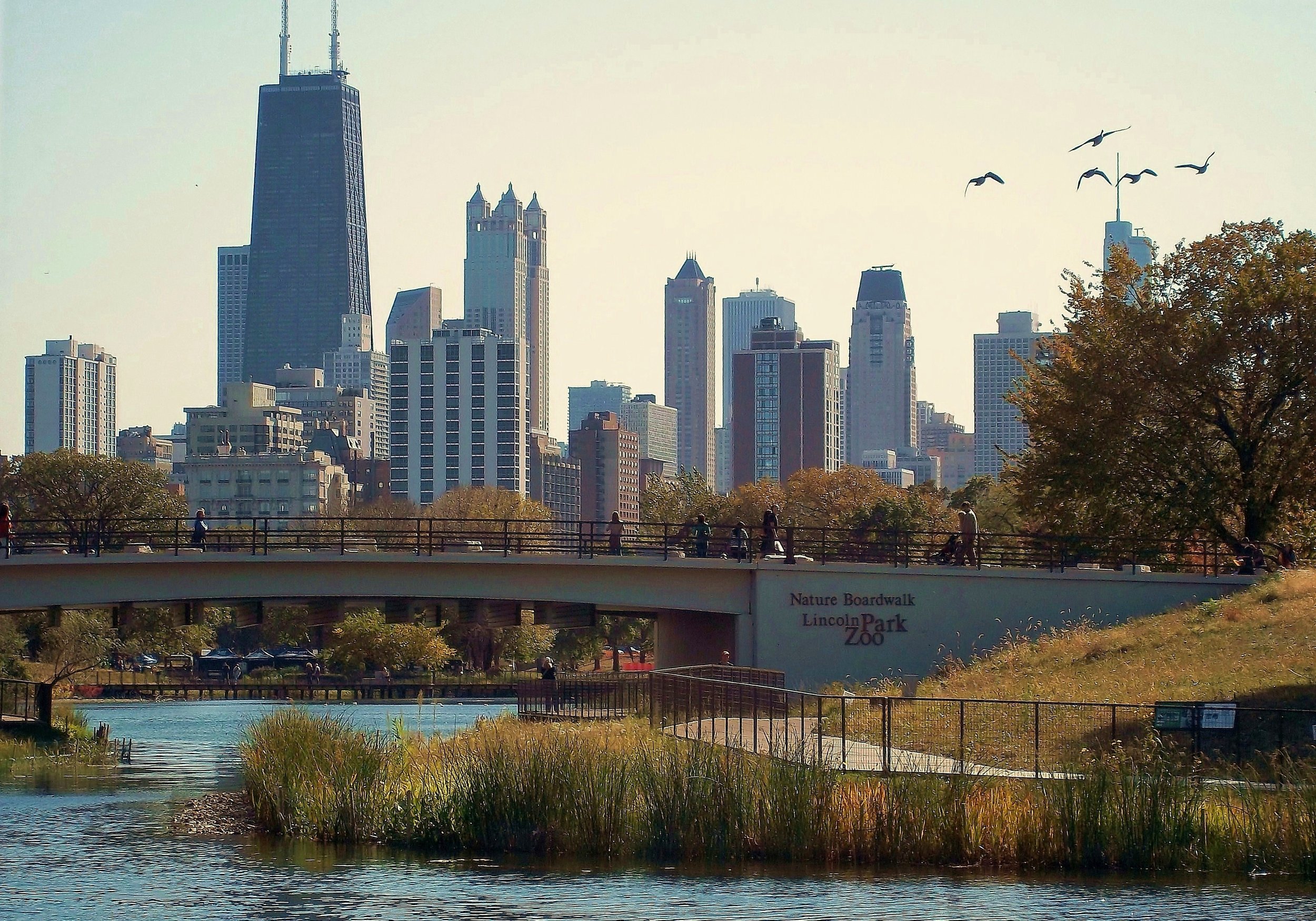 Nature_Boardwalk_Lincoln_Park.JPG