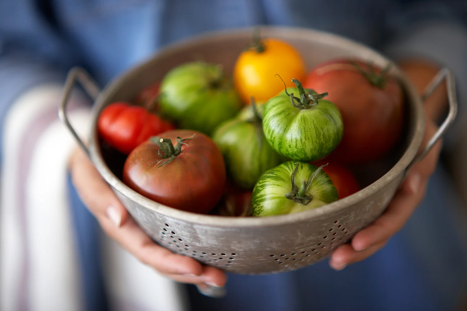 11_tomato_basket.jpg