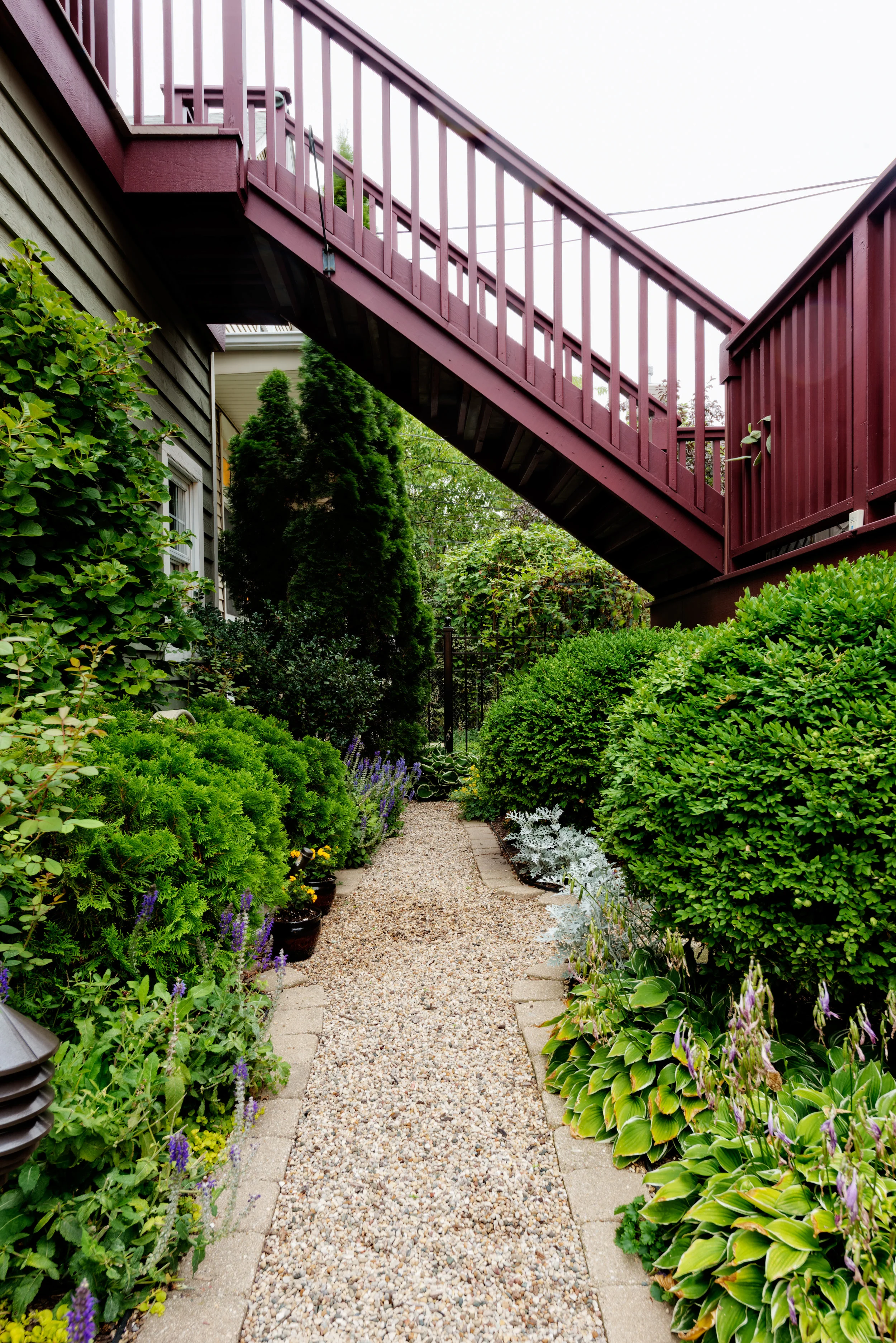 20140817_ChristyWebber_ResidentialGardens_0110_1_2_3_4_tonemapped.jpg