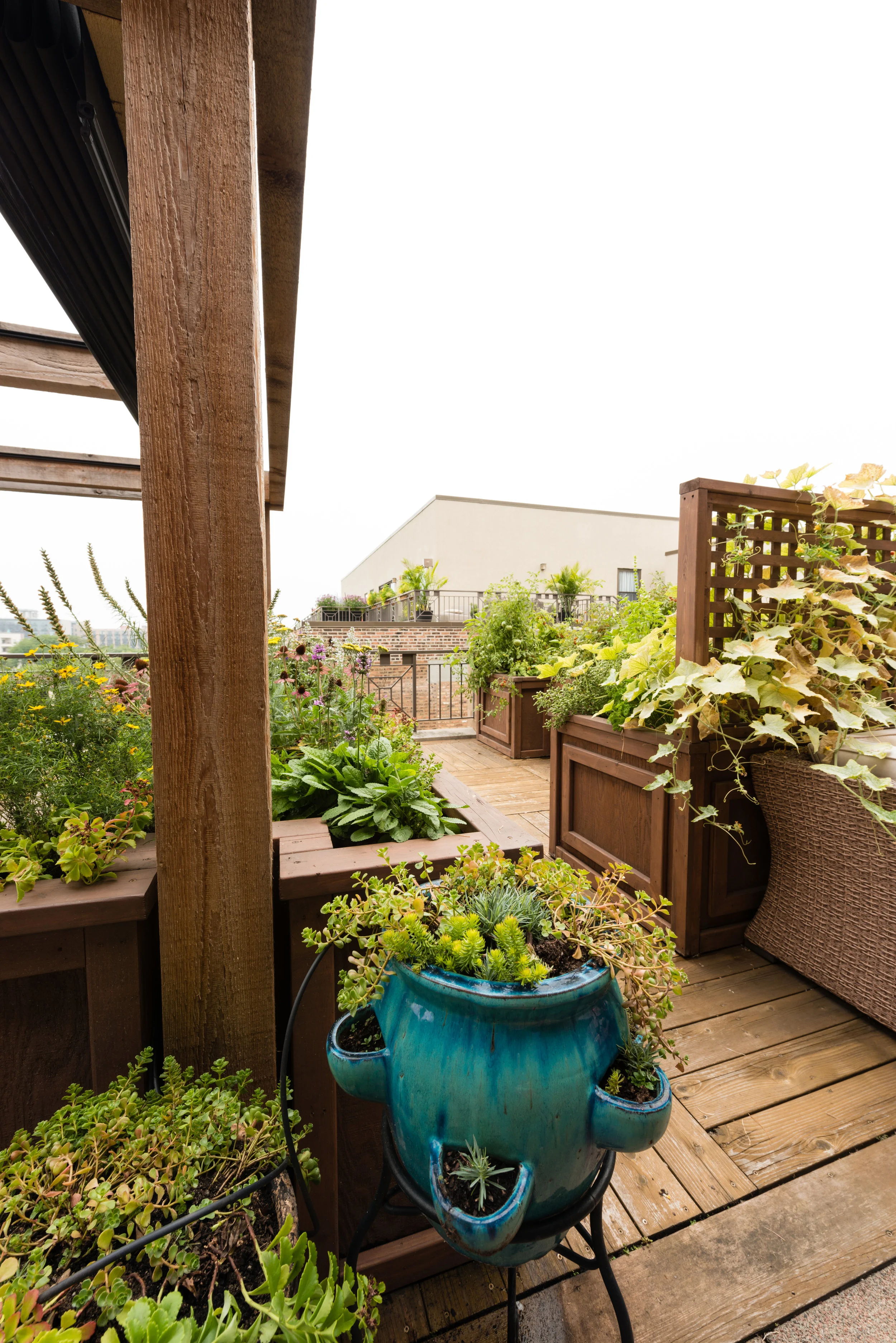 Wintroub.20140817_ChristyWebber_ResidentialGardens_0031 #.jpg