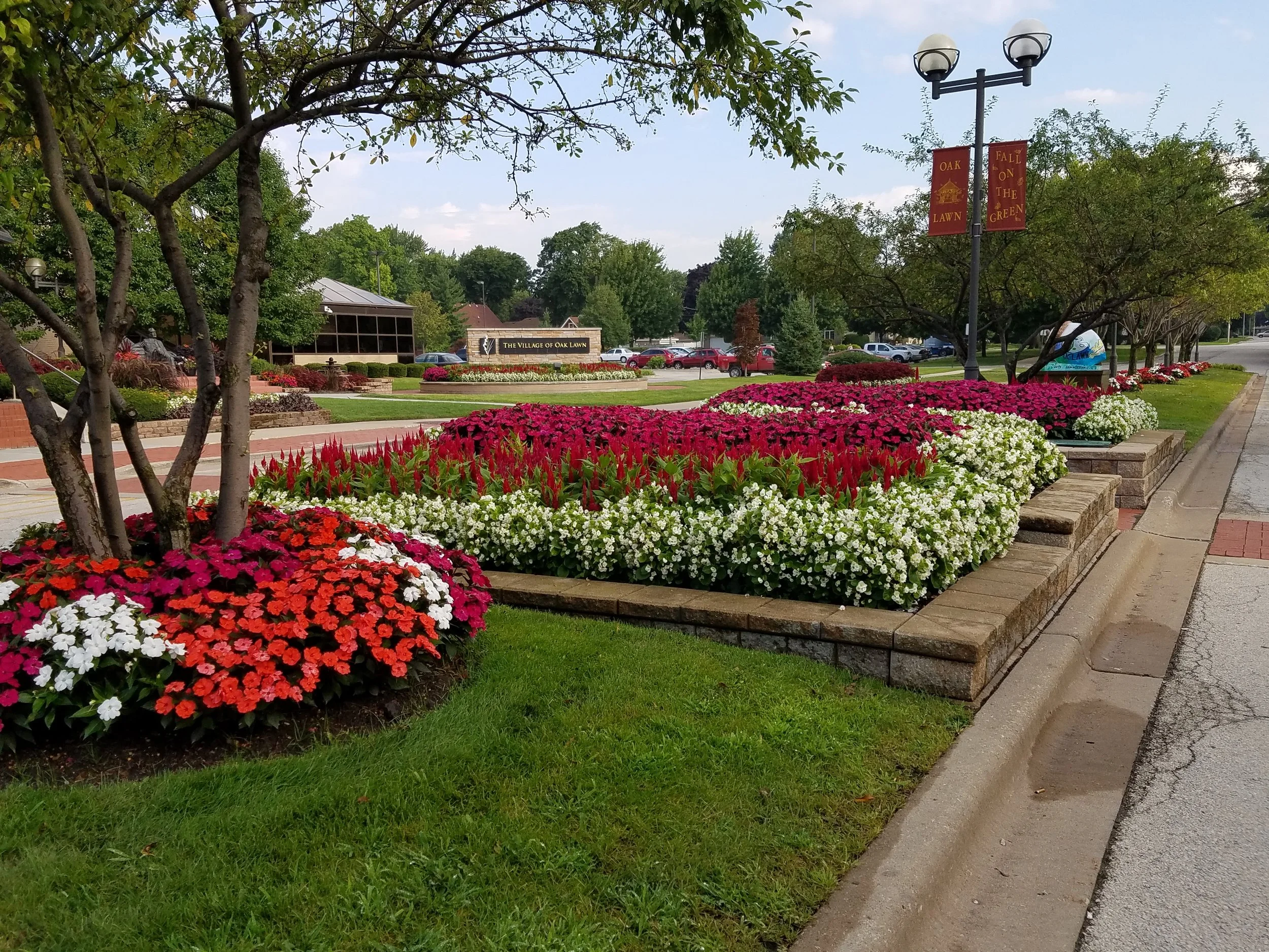 20160817_075542.jpg