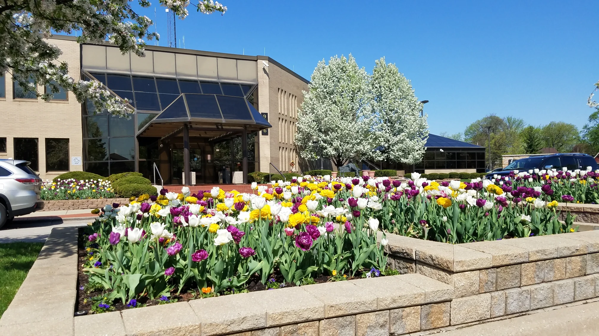 20180508_100120.jpg