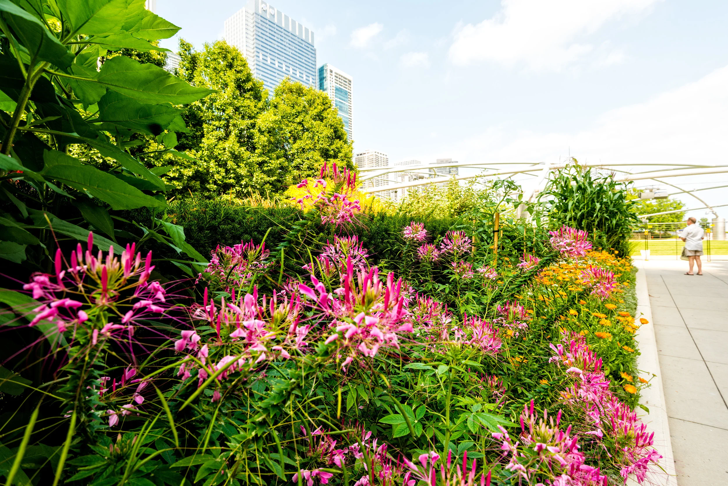 20140811_1MilleniumPark_0193.jpg
