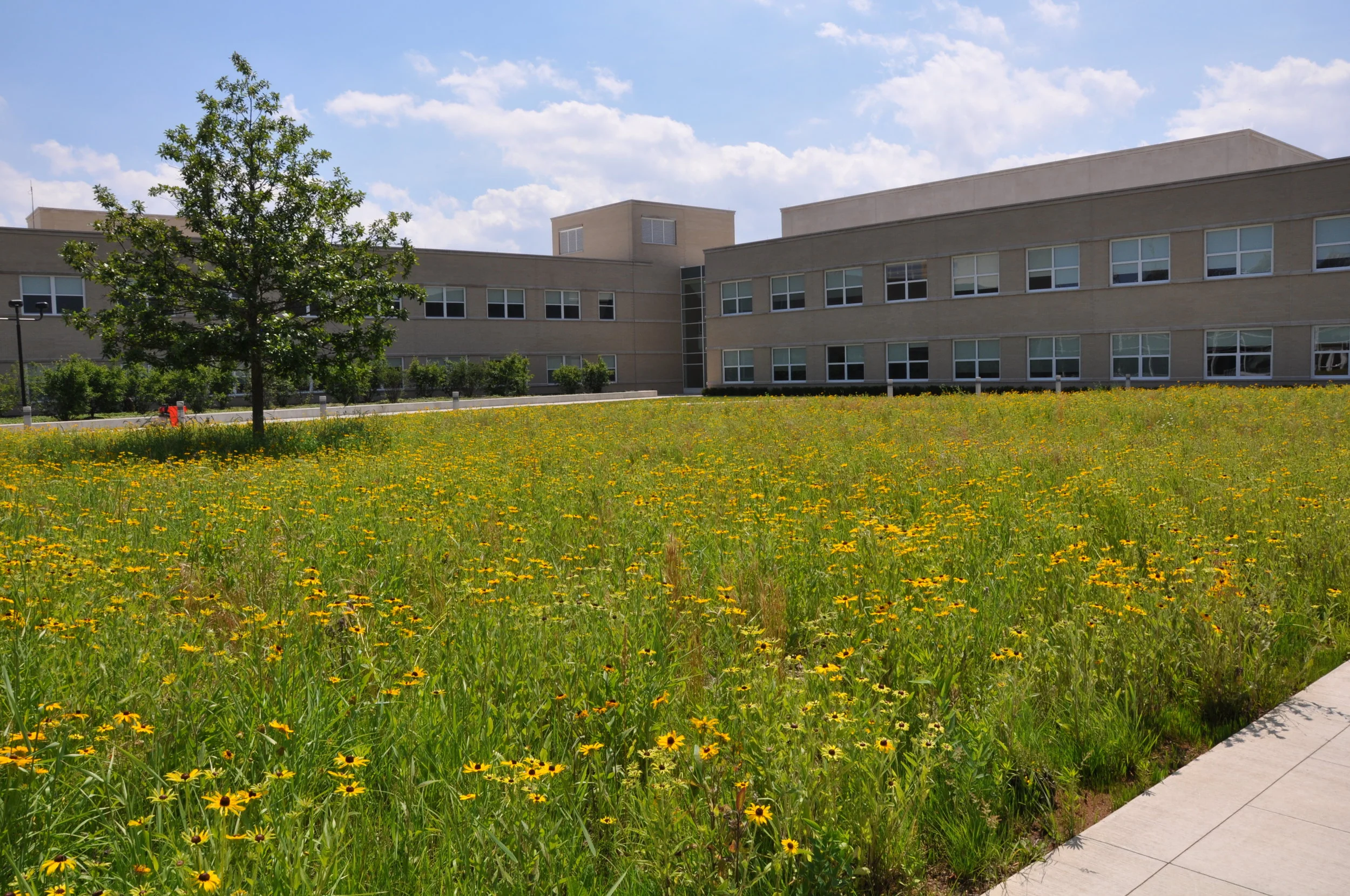 westinghouse 007.jpg