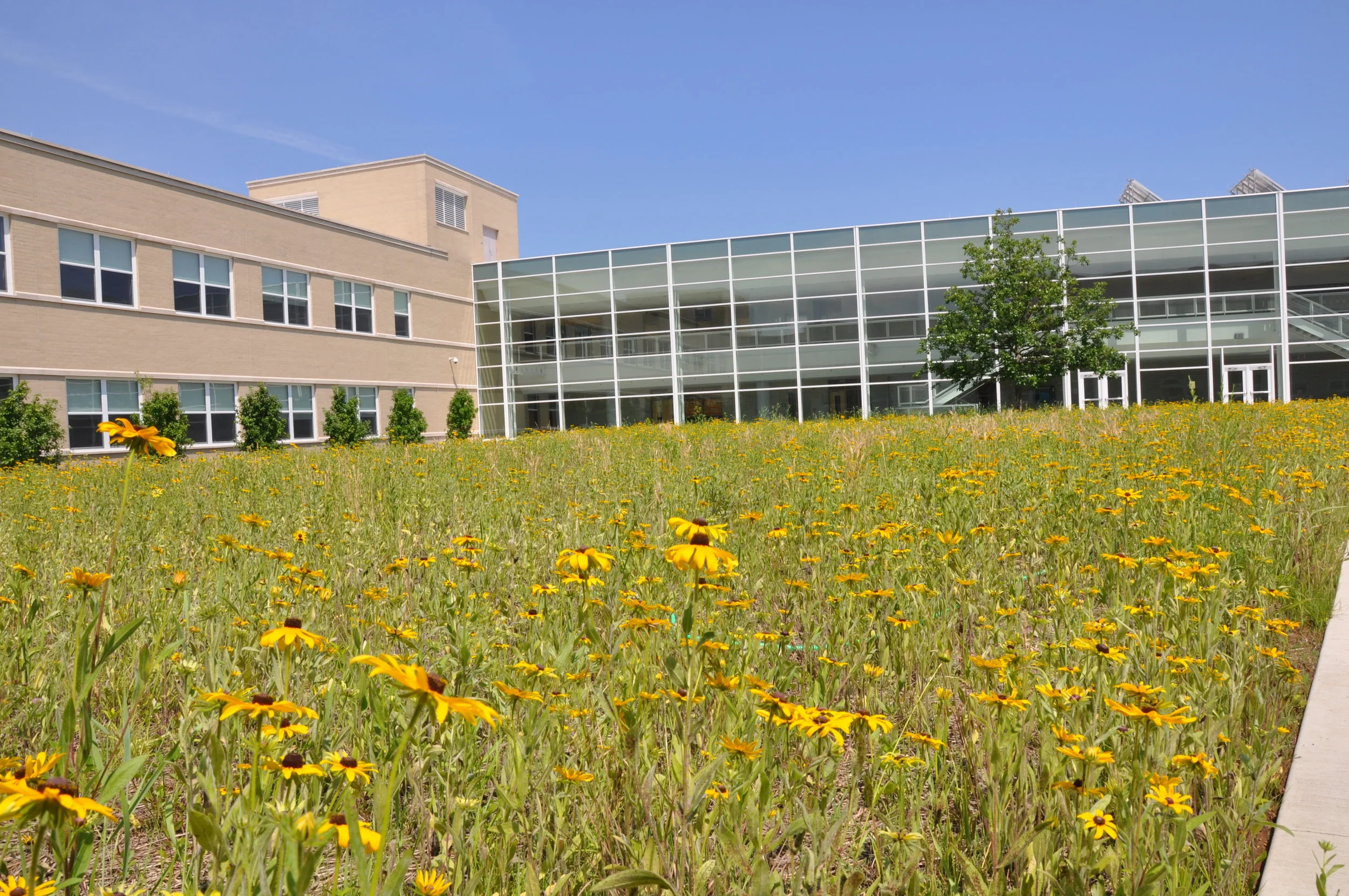 westinghouse 020.jpg