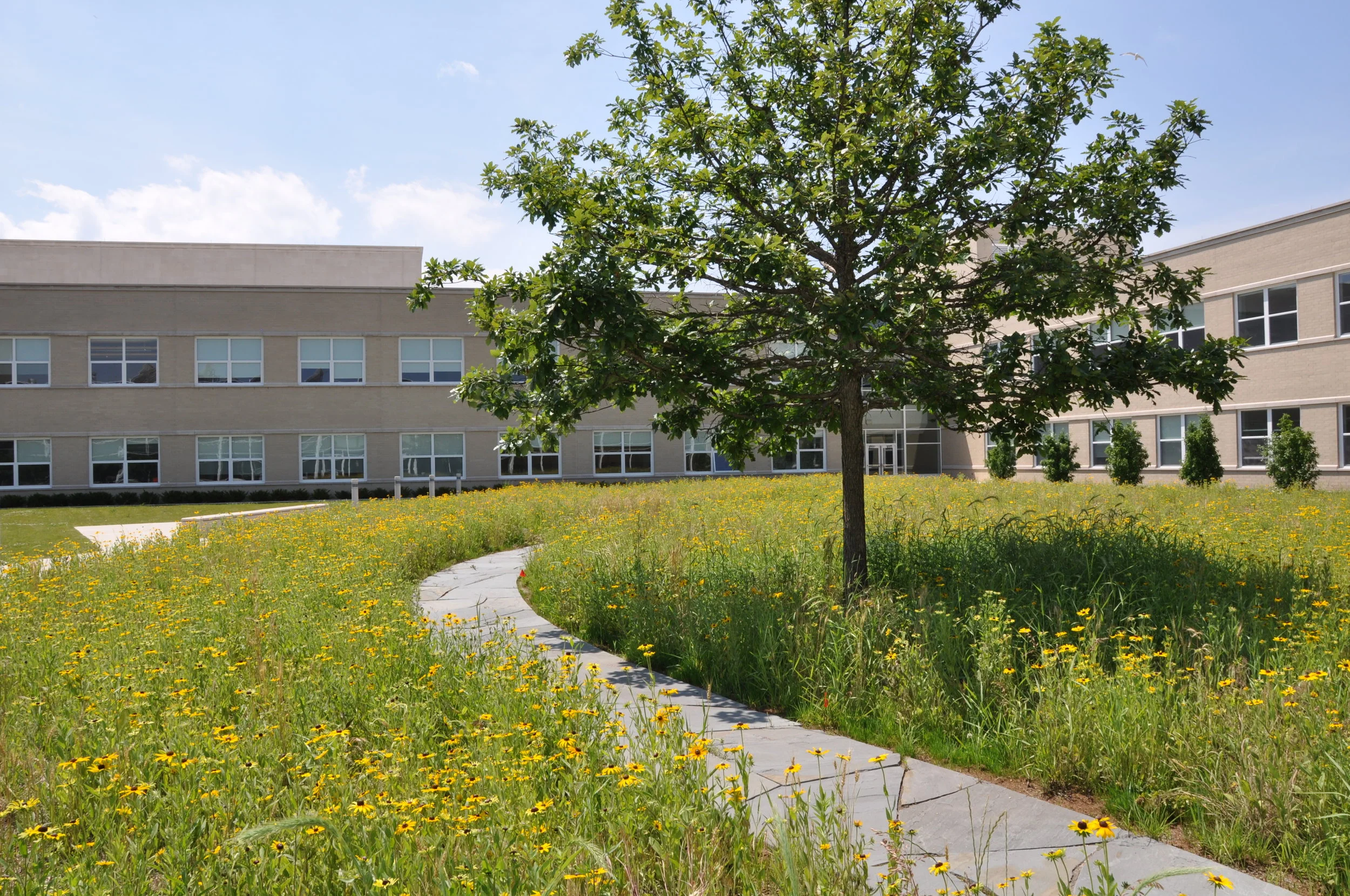 westinghouse 028.jpg