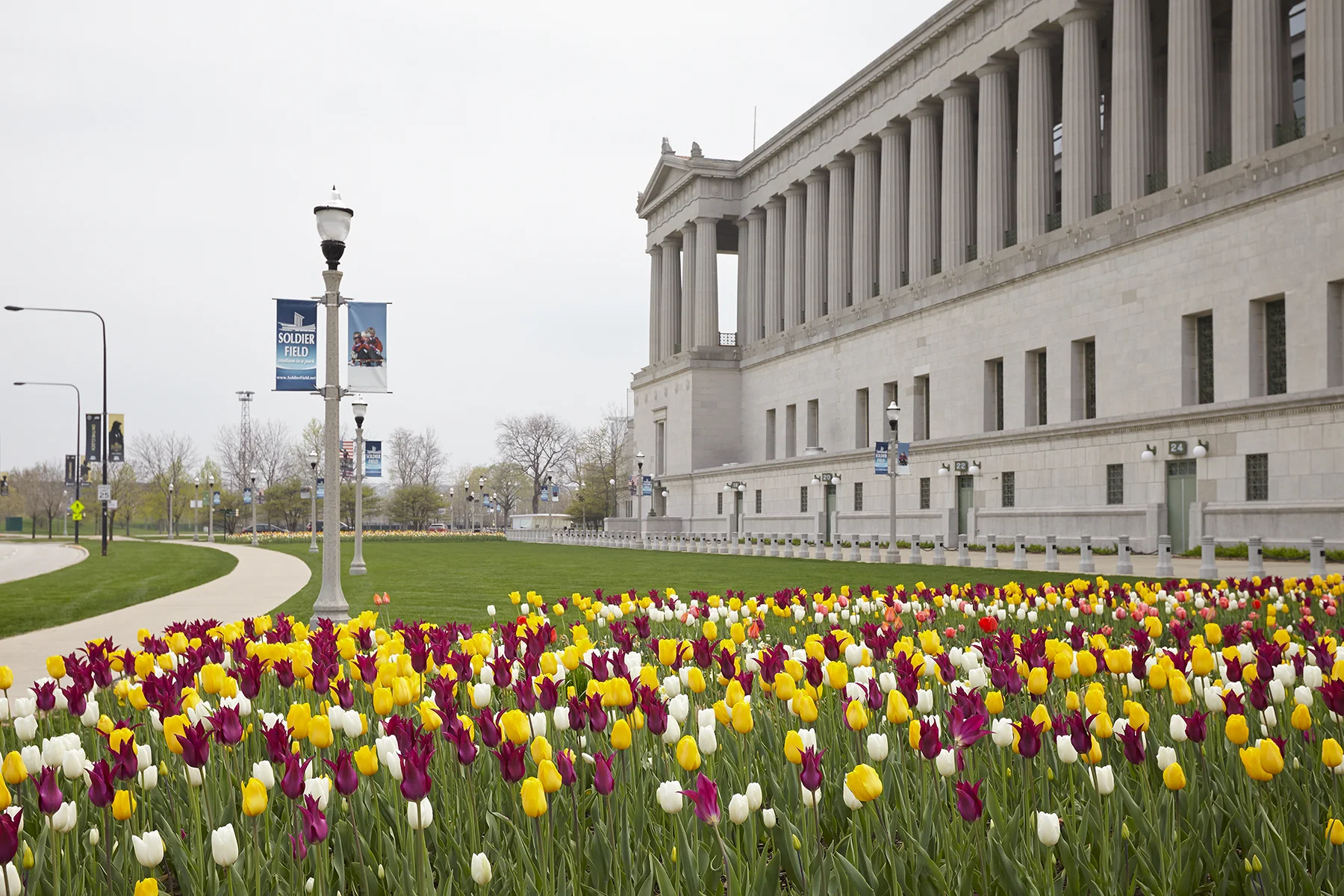 013_Christy_Webber_Soldier_Field_Tulips_MG_7838.jpg