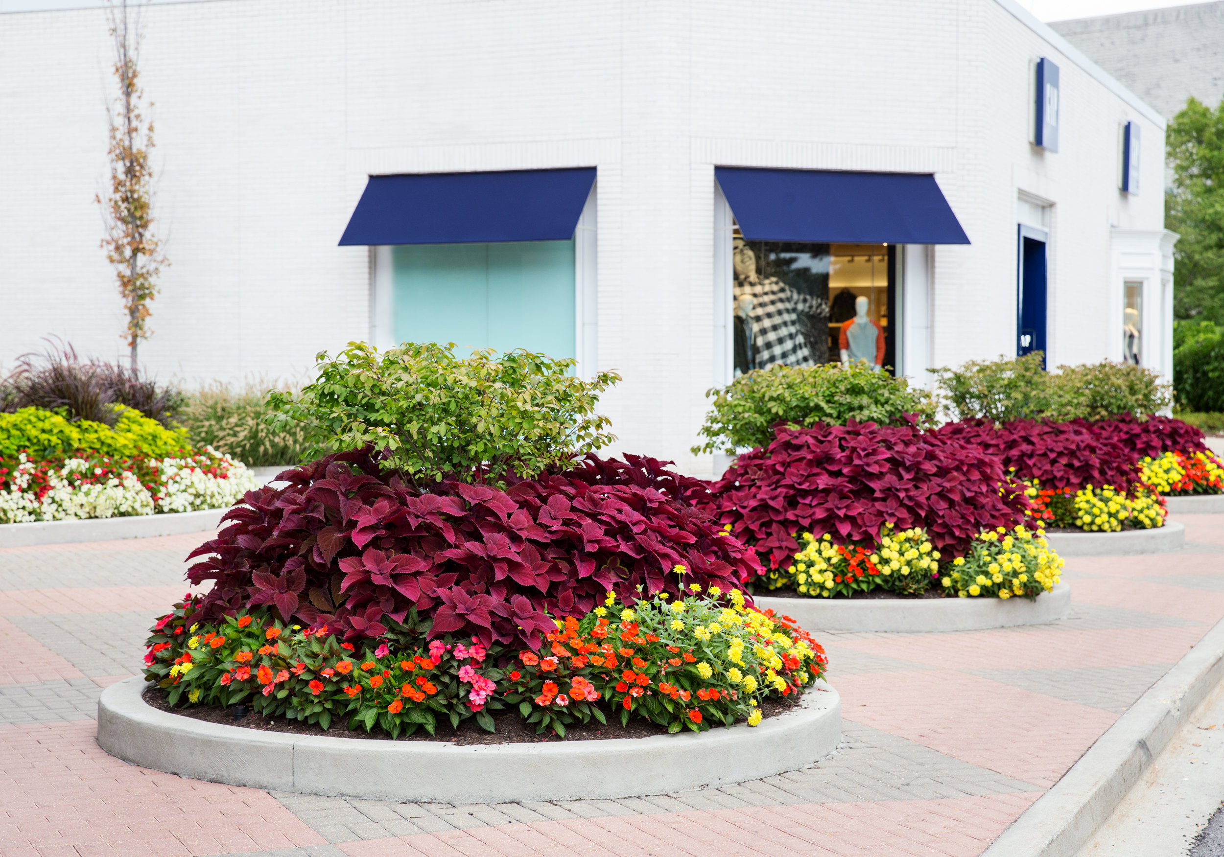 160815_CWL_OldOrchardMall_4754.jpg
