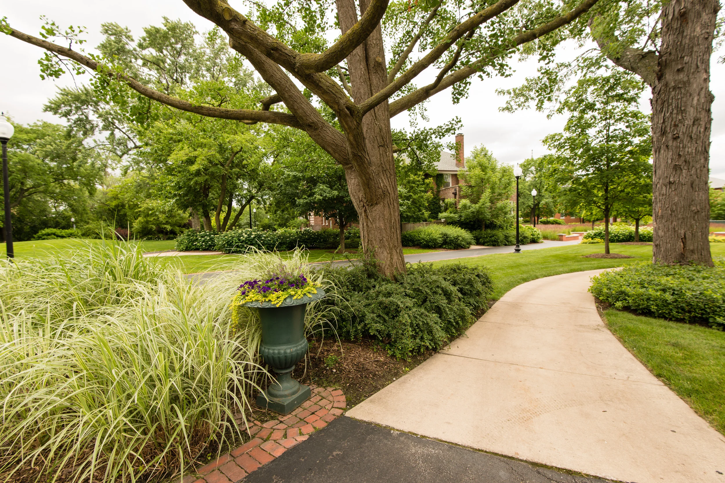 20140702_ChristyWebberLandscapes_0081.jpg
