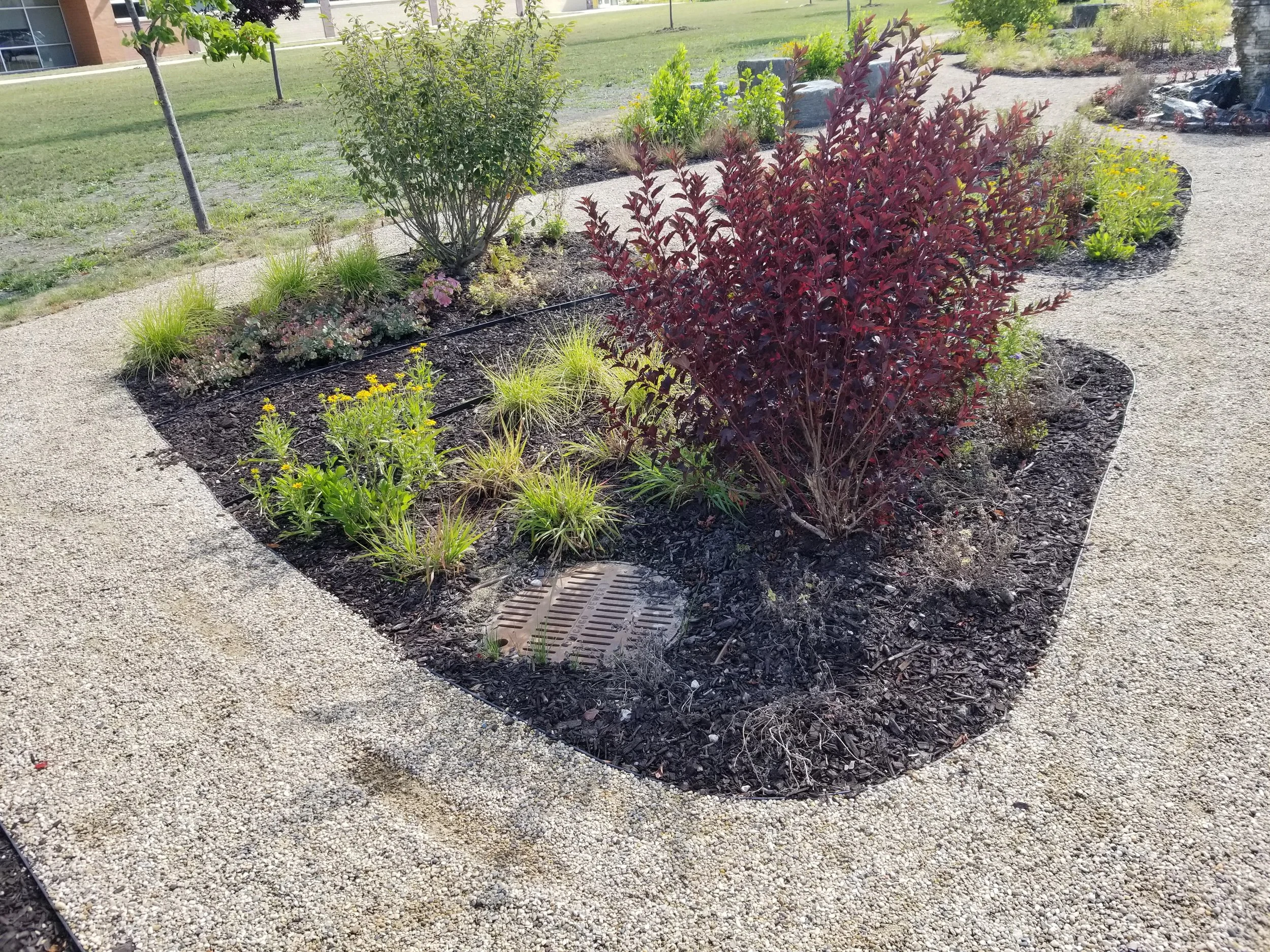 20180727_092730.jpg