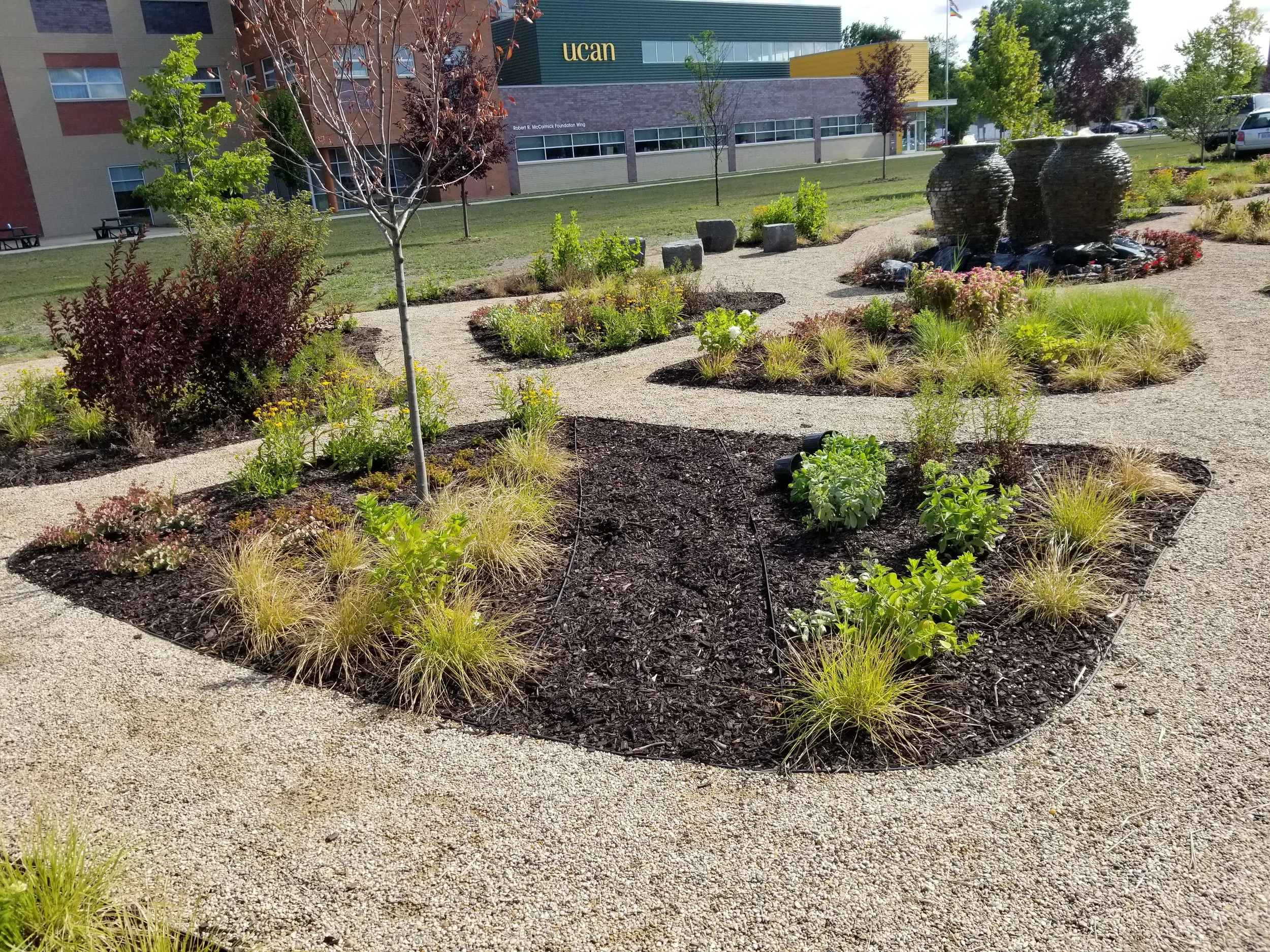 20180727_092819.jpg