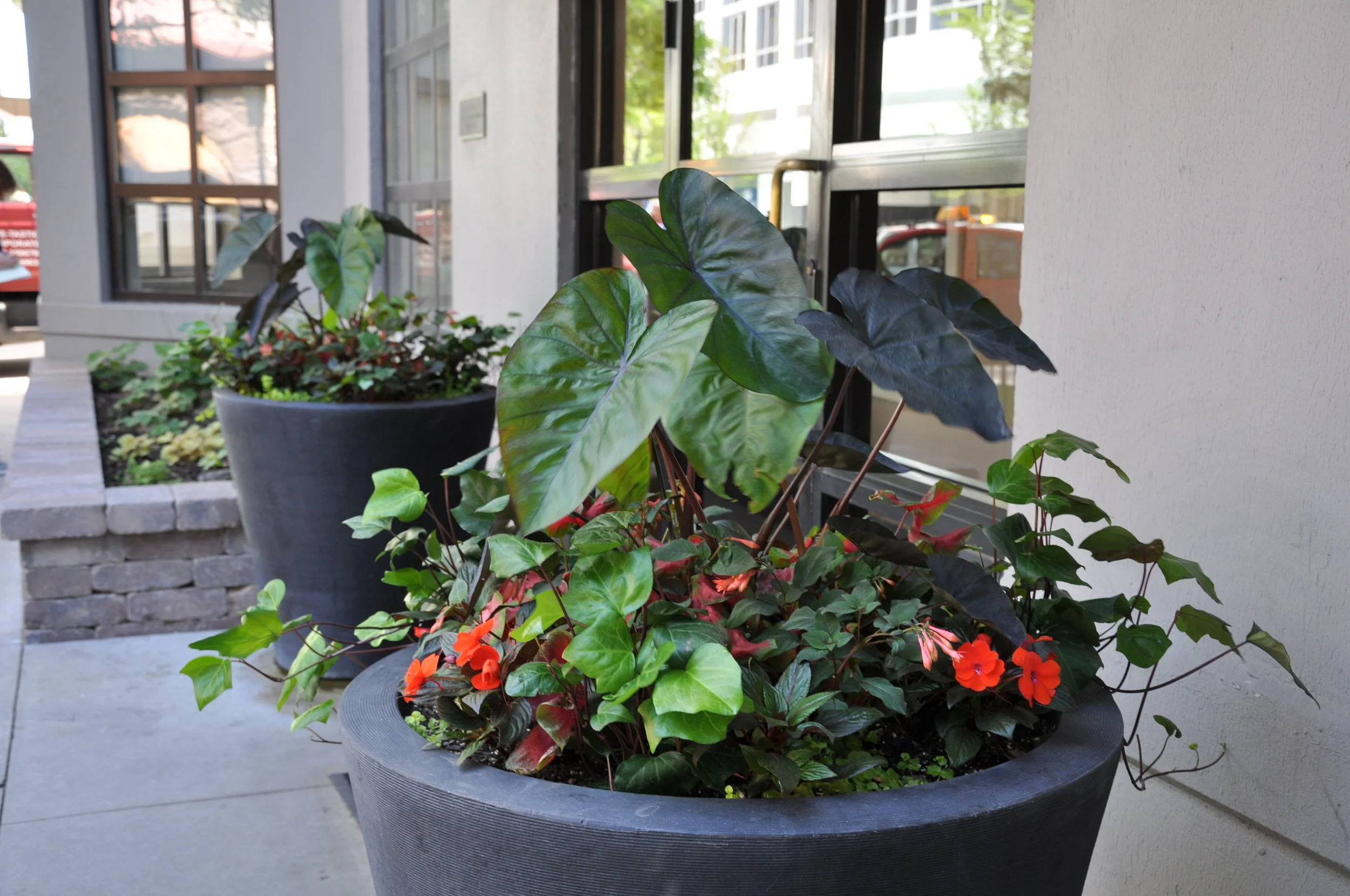spring 2010 003.jpg