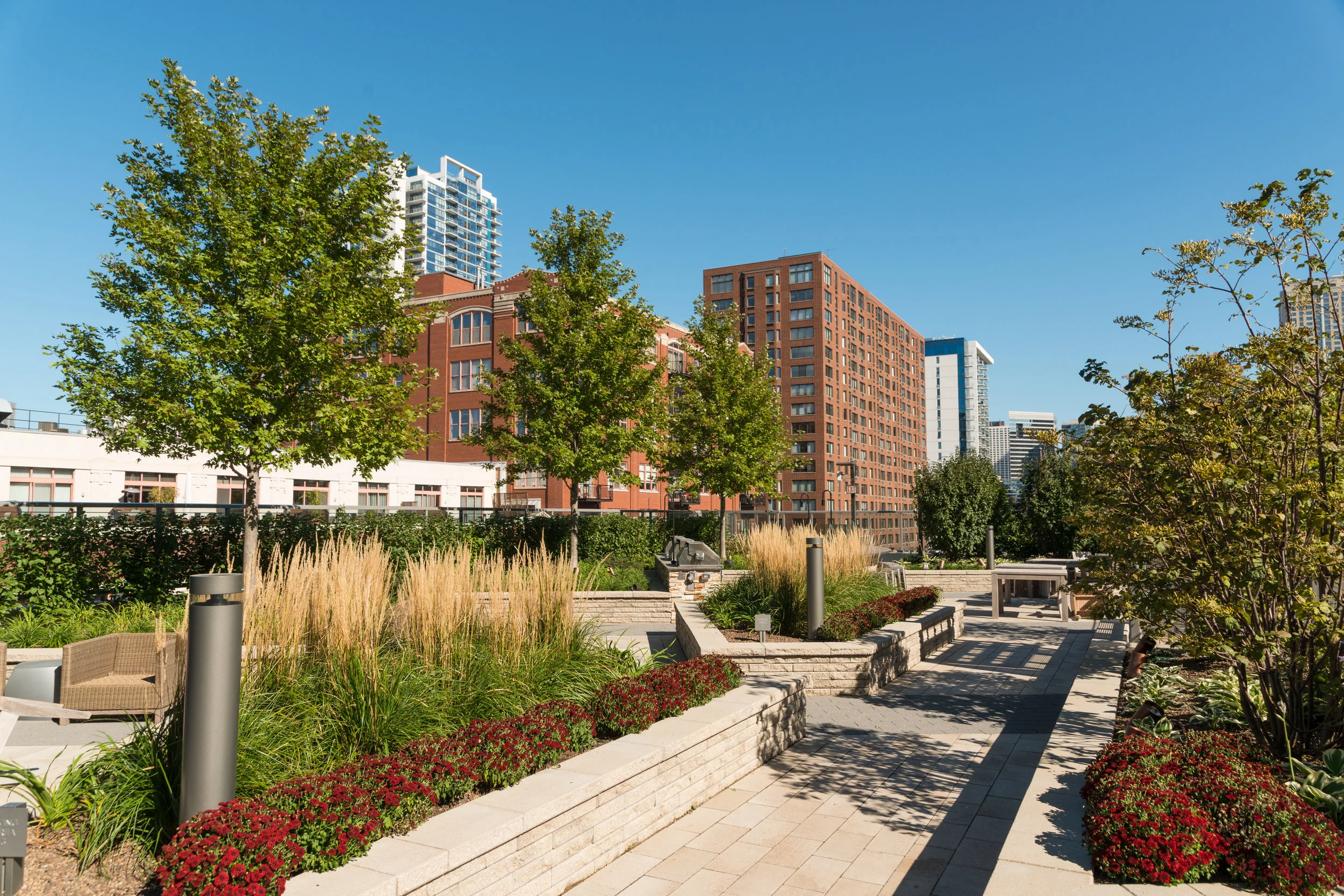 20151014_ChristyWebberLandscaping_360-HubbardSt_0023.jpg