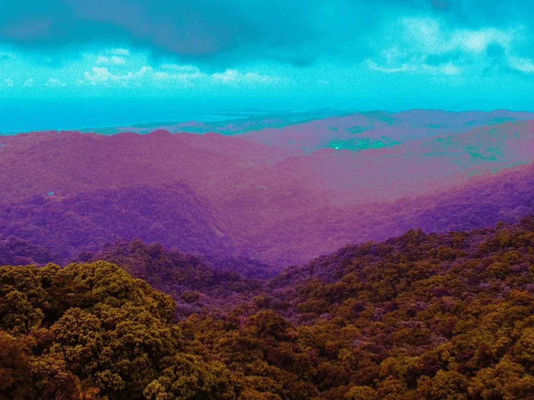 #nofilter