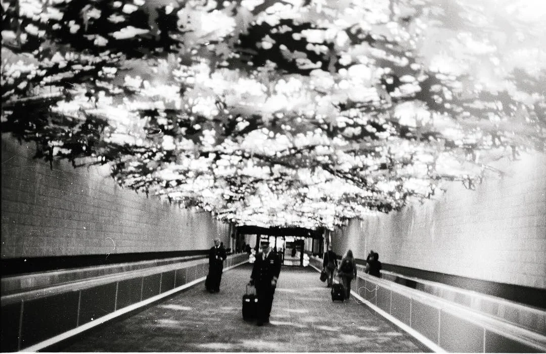 commuters of the twilight zone