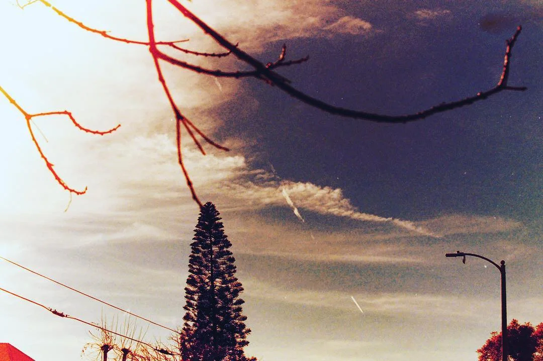 tom waits came to me in a dream