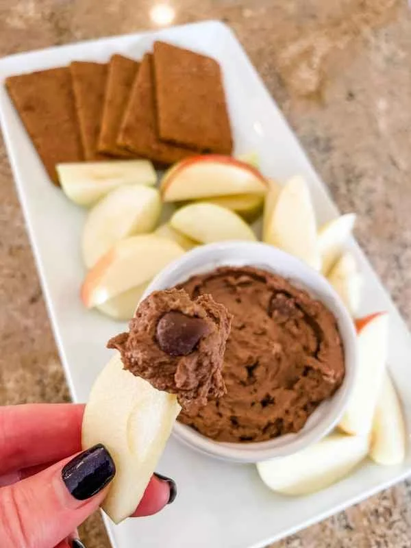 Healthy Chocolate Protein Dip Recipe — Macros with Lil
