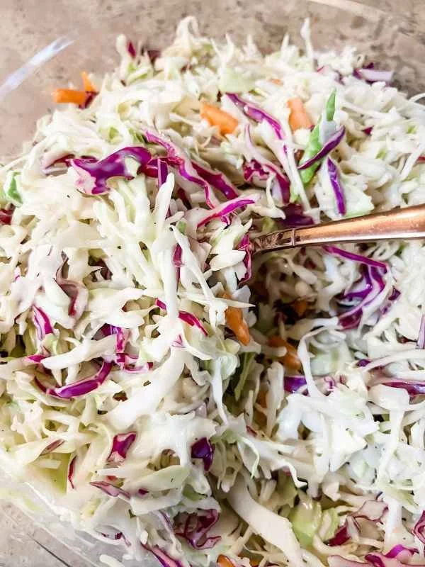 The Best 4 Ingredient Coleslaw Recipe — Macros with Lil