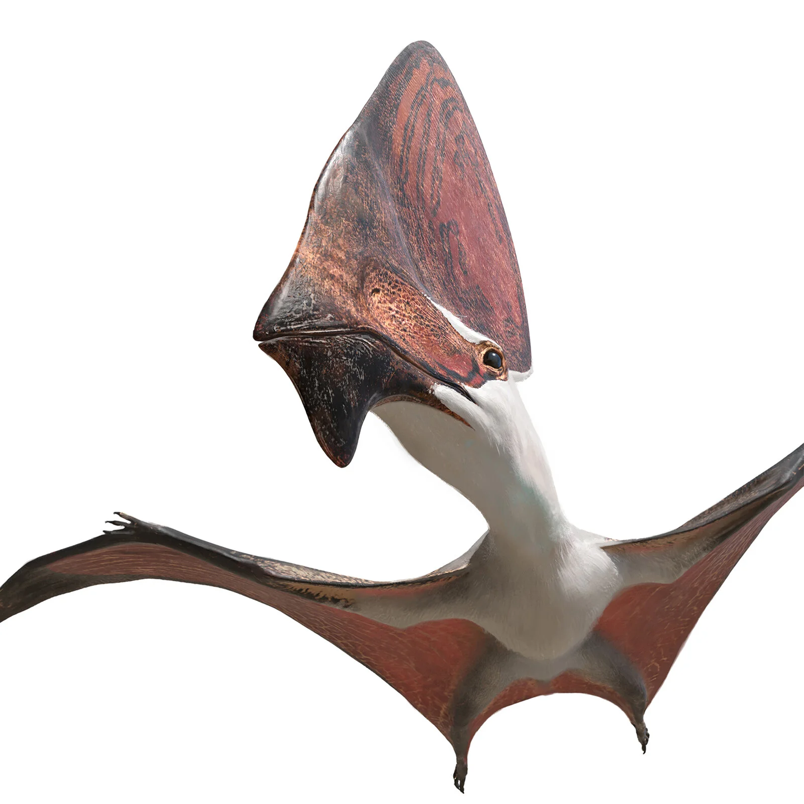 Chase Stone_SciAm Cover.jpg