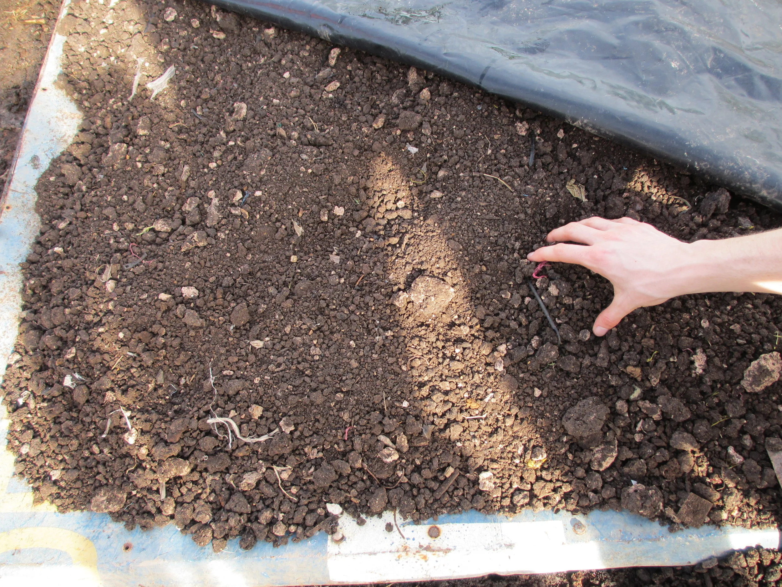Observing the Compost Facility