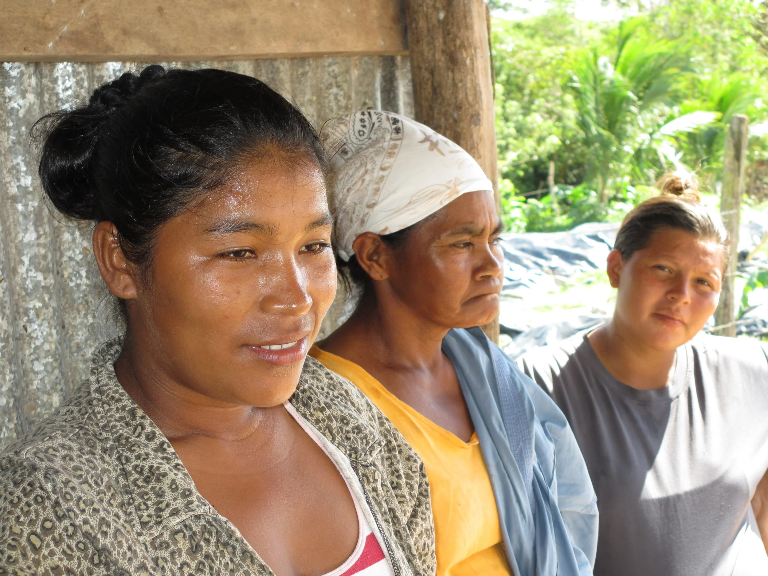 Interviewing the Compost Processors