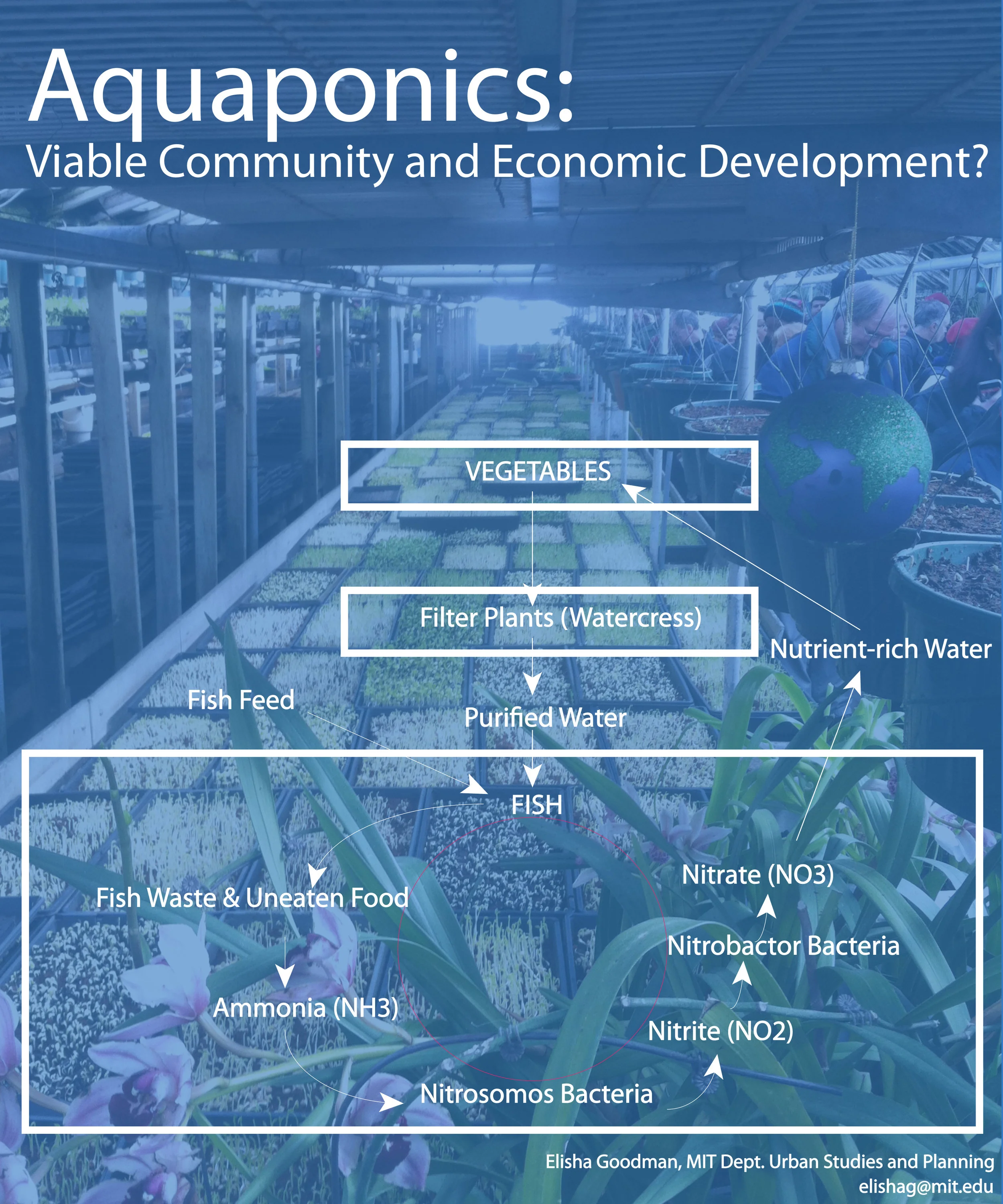 APAAAquaponicsPosterDiagram_Panel1.jpg