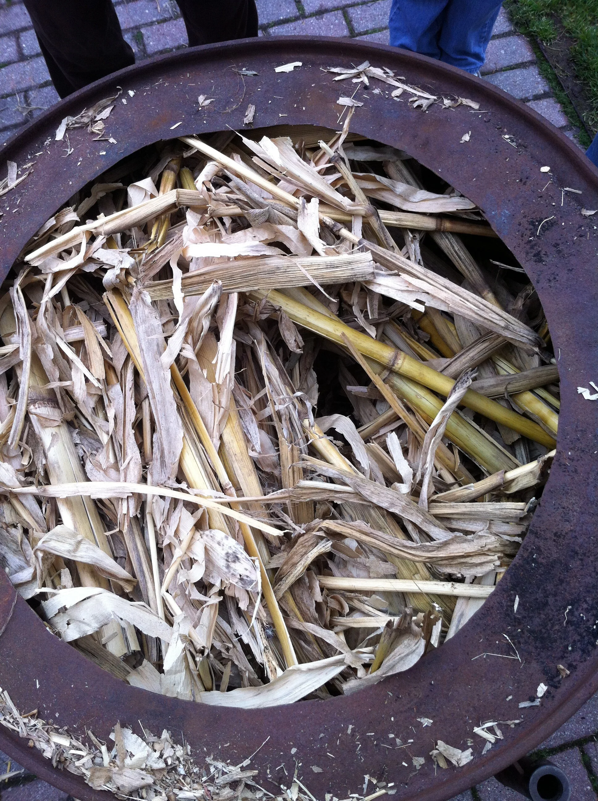 Corn Stalks Before They Are Turned into Charcoal Powder