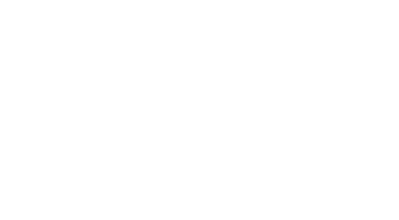 Strong Island Electric