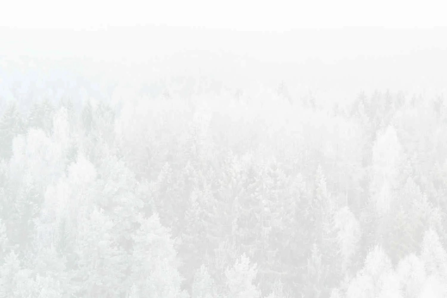 White Vida (Coming Soon).jpg