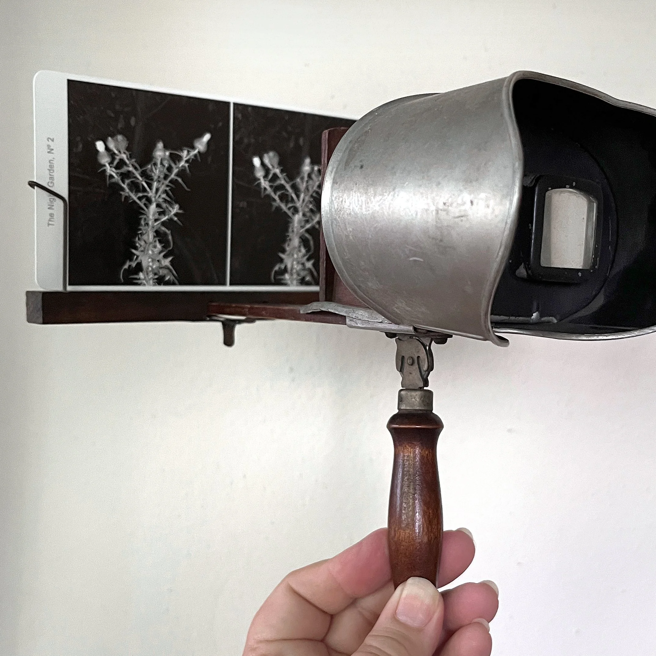 Stereographs