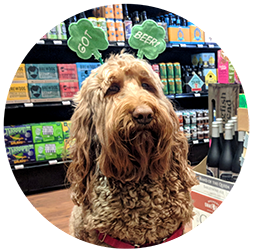 Sour Tasting and Sale for Beer Thurs+Brew Dog Beer Tasting Fri &amp; Weekend Wines!