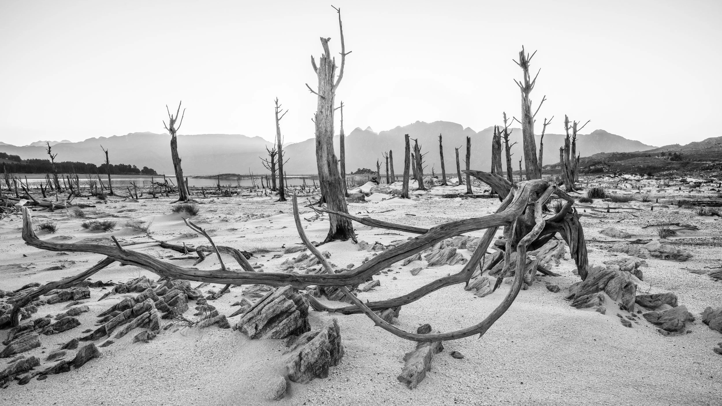Barren Lands.jpg
