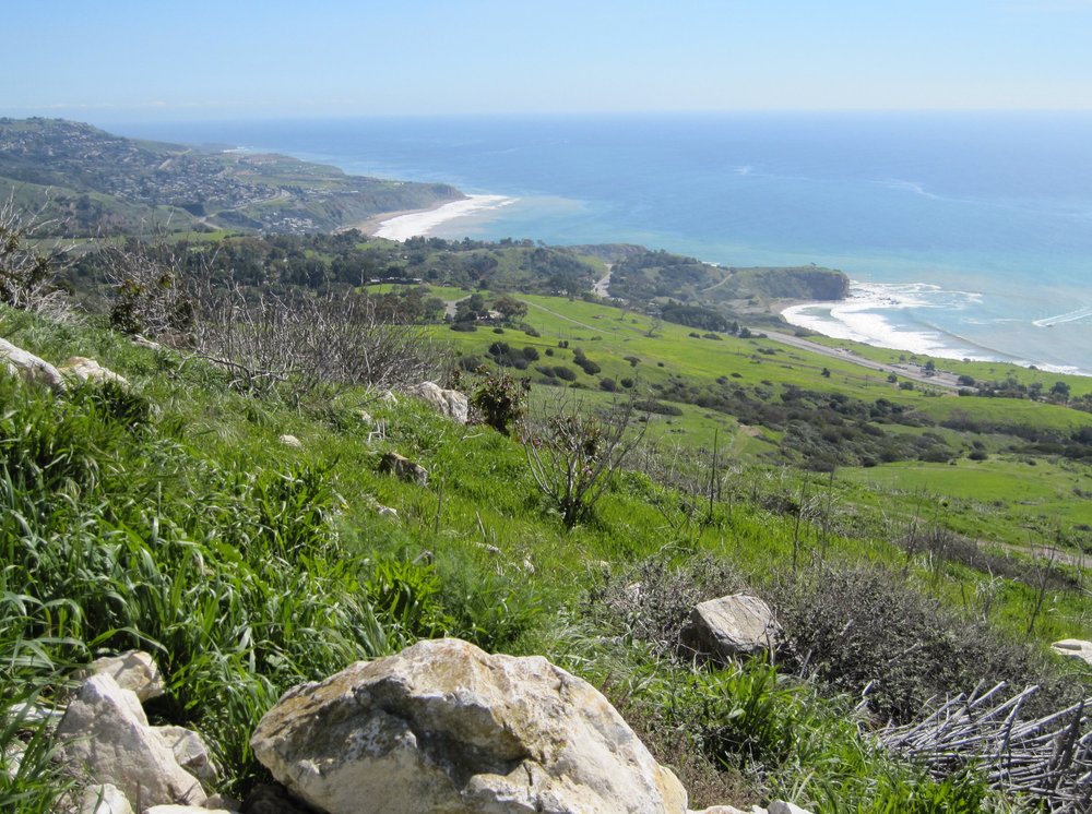 Palos Verdes Peninsula Land Conservancy Calendar of Events for January