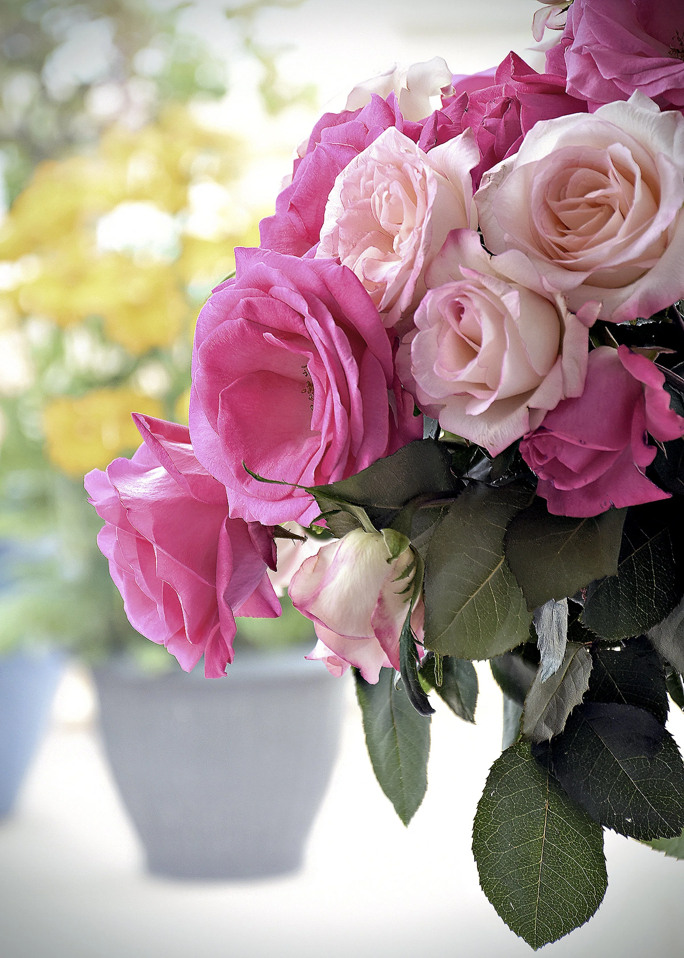 Why Do Flowers Make Us Happy at Louise Mcmakin blog