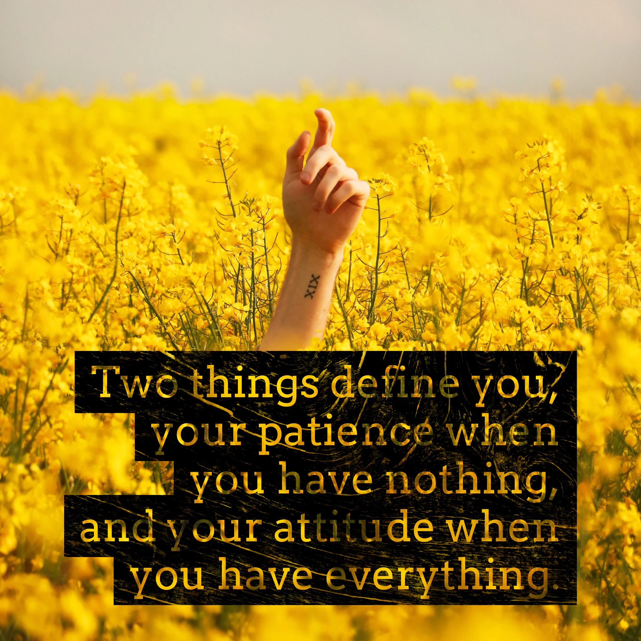 Summer reflections...