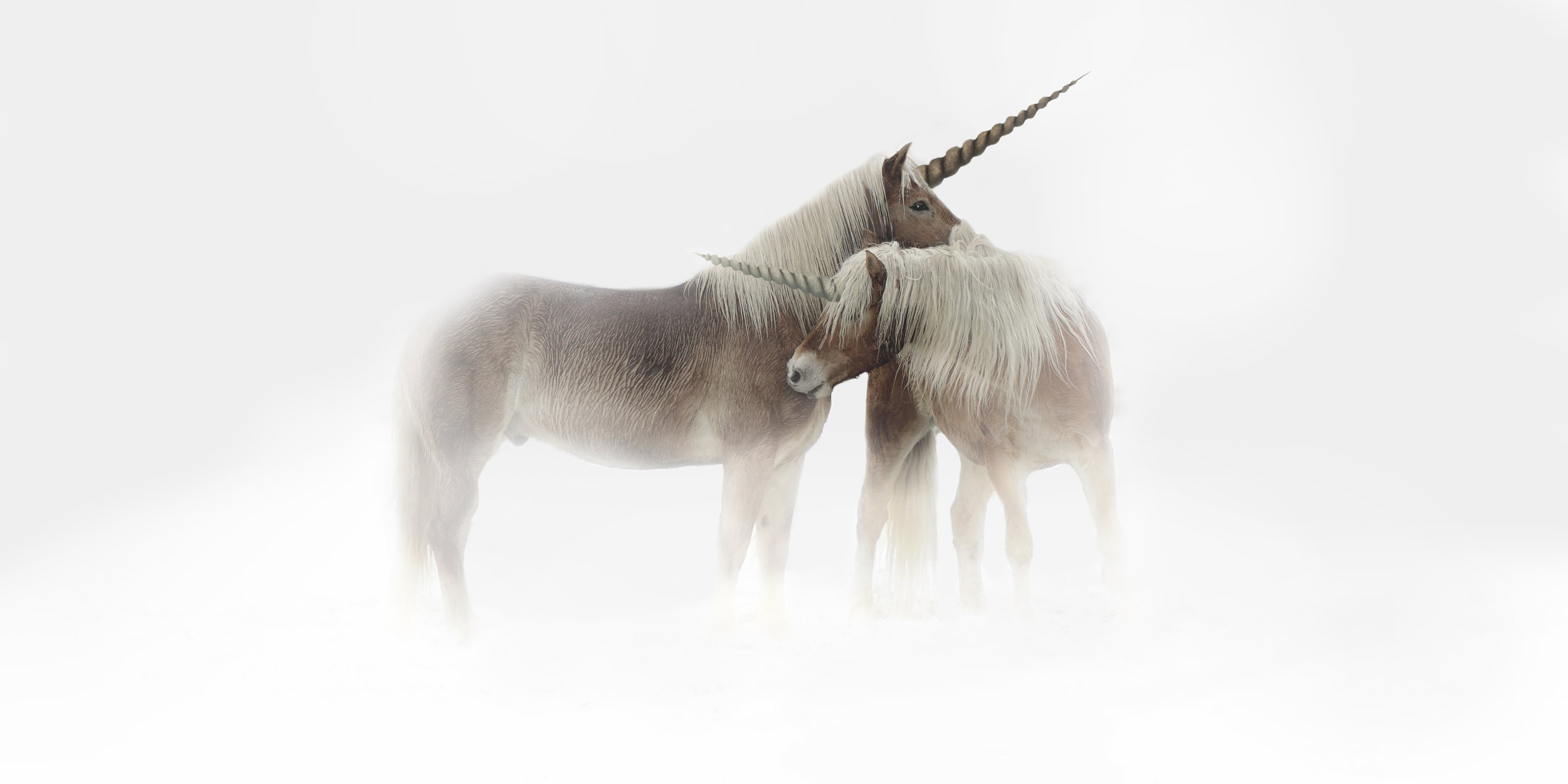 Unicorn: Myth or Spirit Animal? — Palos Verdes Pulse