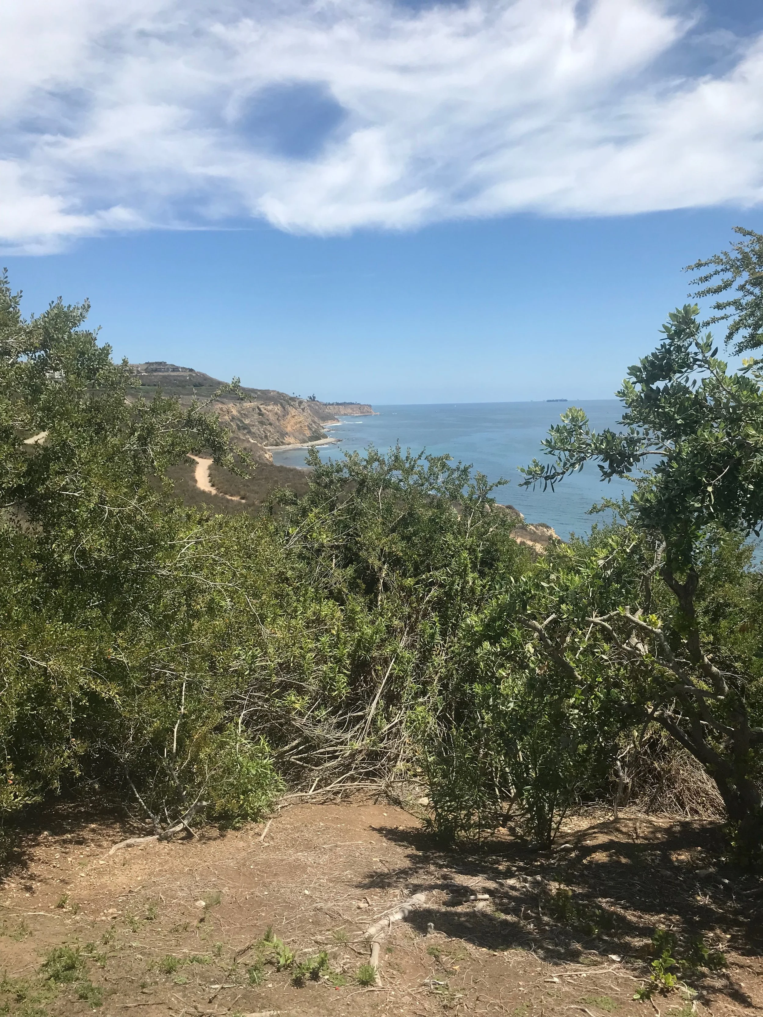 A Short History of Portuguese Bend