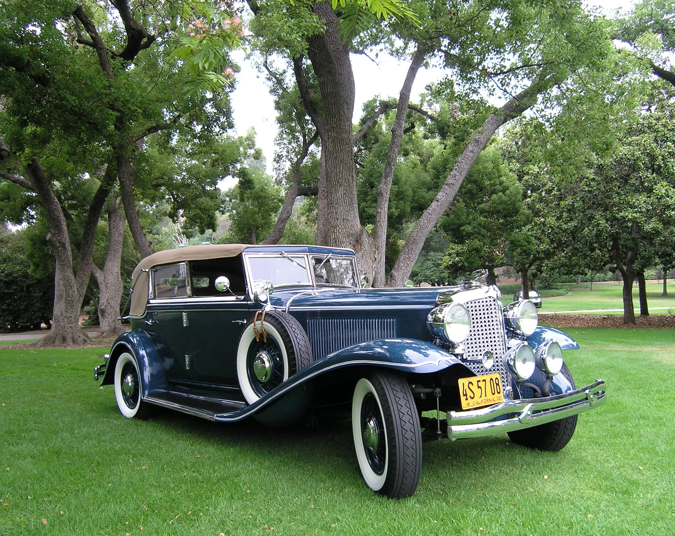 P1010003_C.jpg