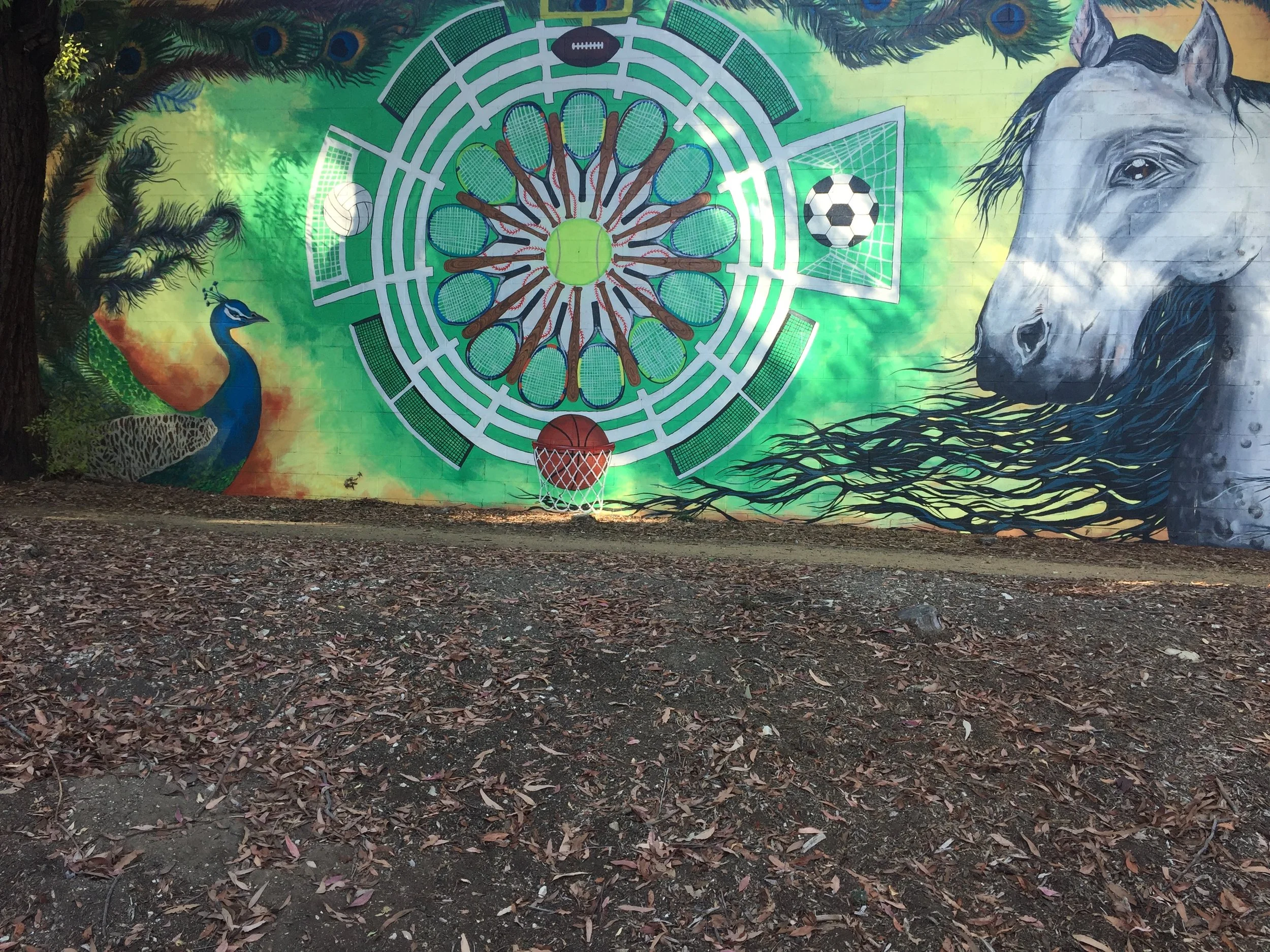 PV Location Challenge 3: Where am I?