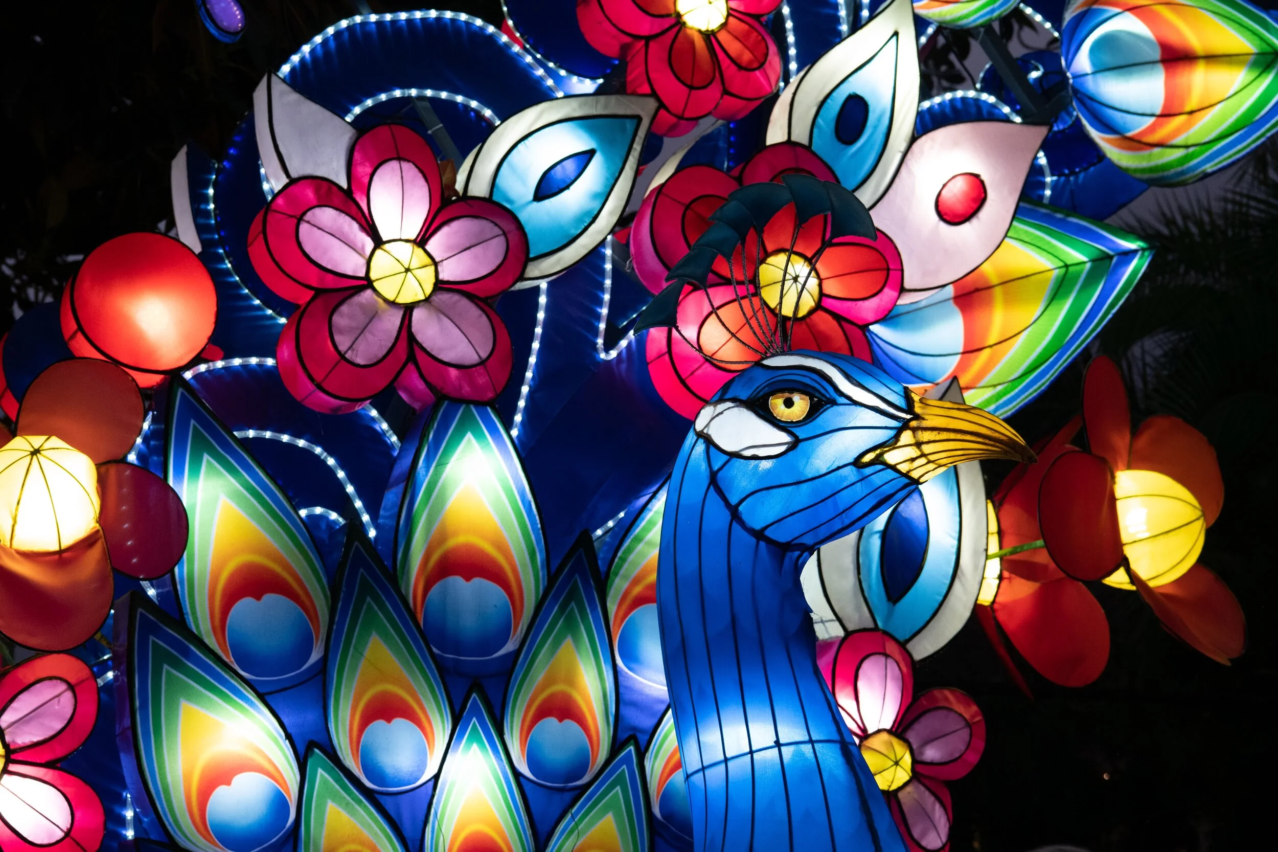 Arcadia Moonlight Forest 2020 - Recommended Event