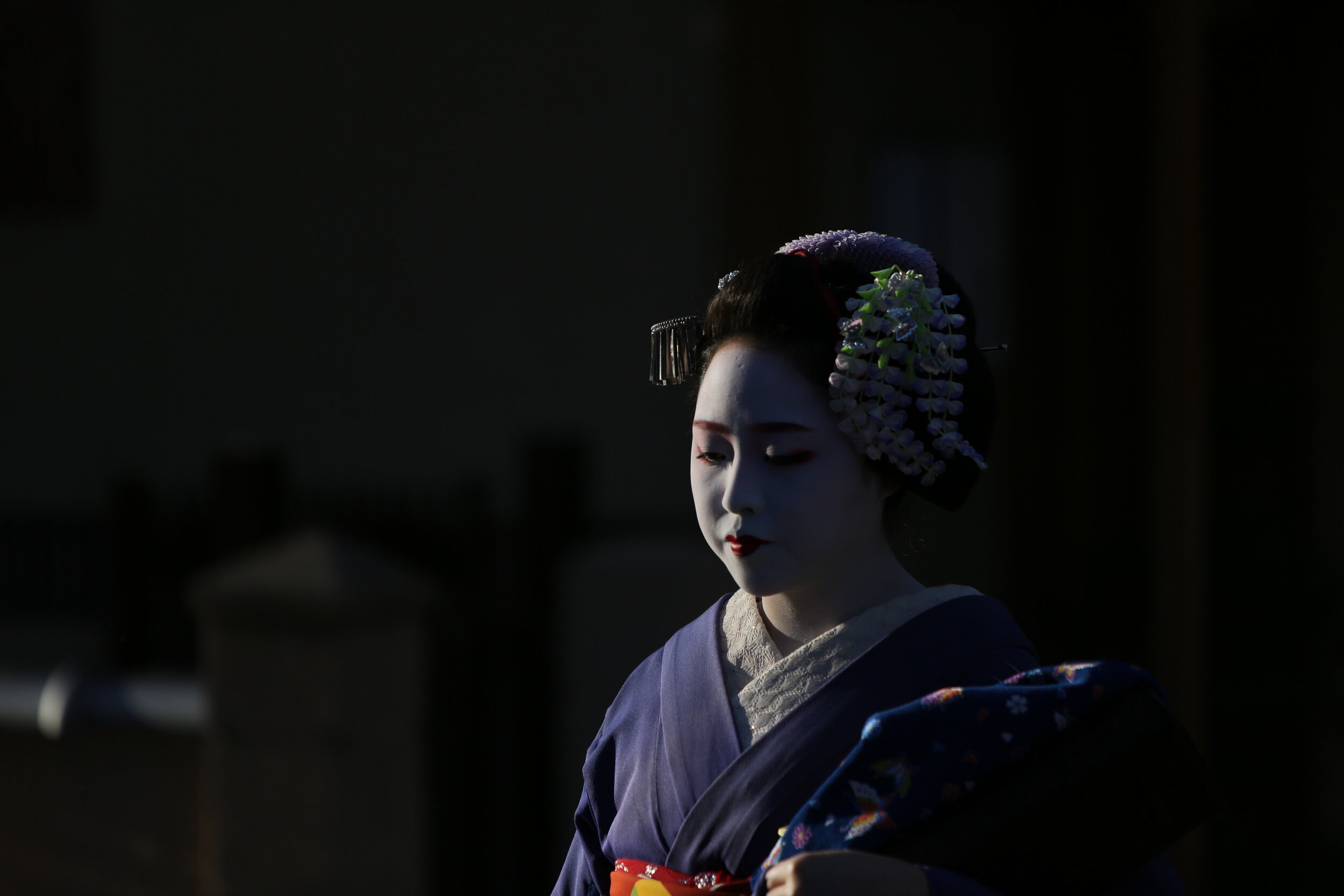 Geisha 5.jpg