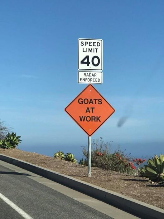 goat sign.jpg