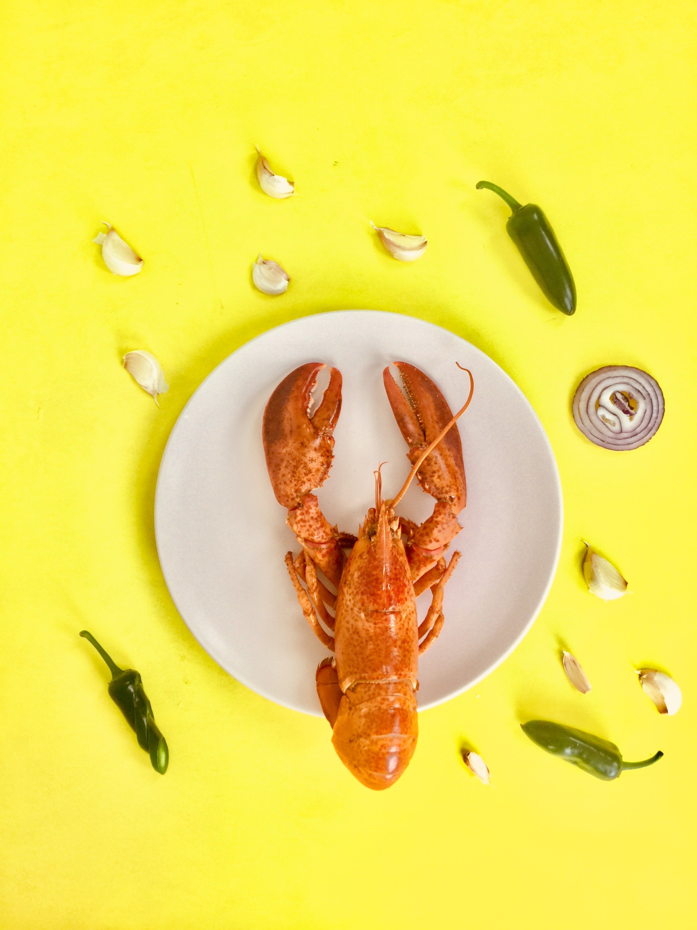 lobster-on-round-white-ceramic-plate-1194431.jpg