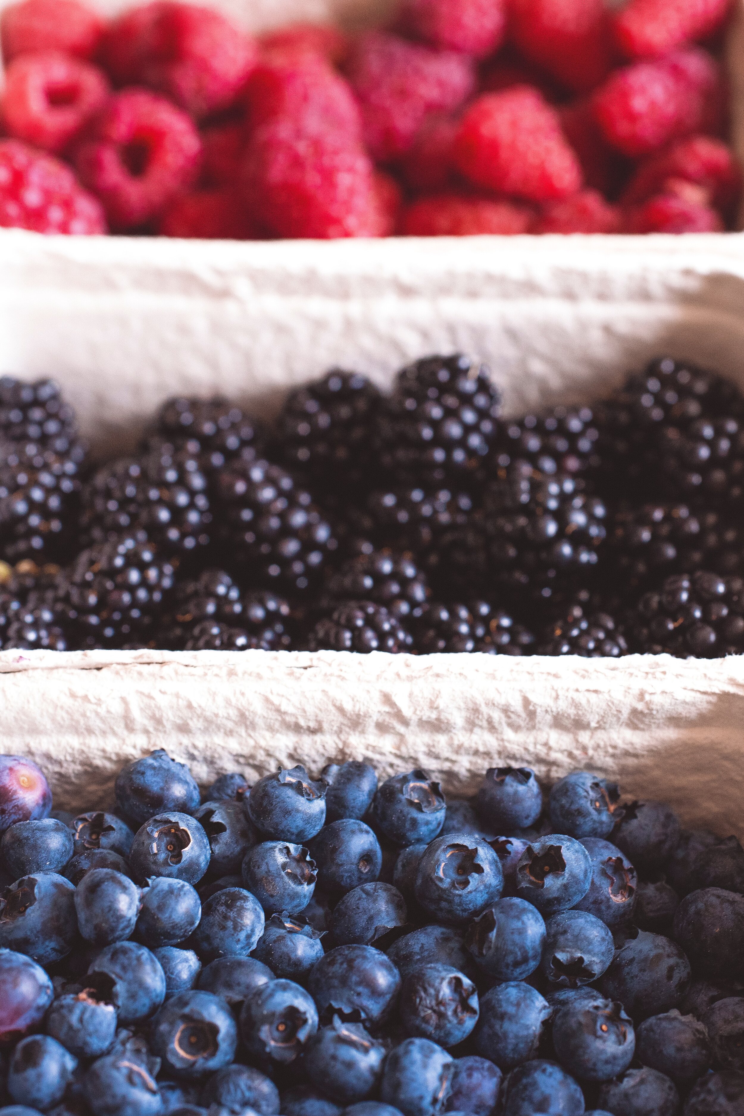 healthy-fruits-blueberries-sweet-1268100.jpg