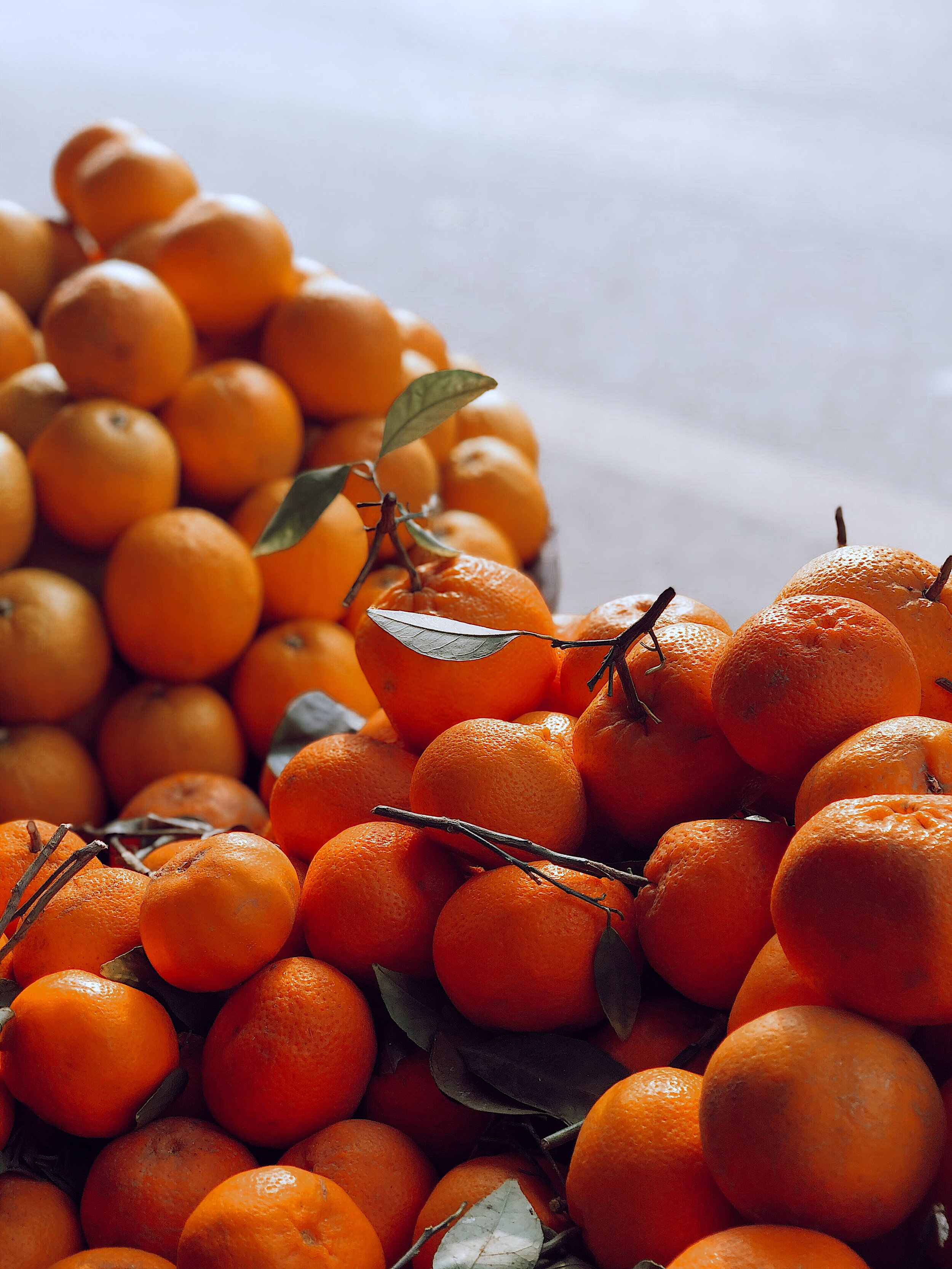 orange-fruits-3584910.jpg