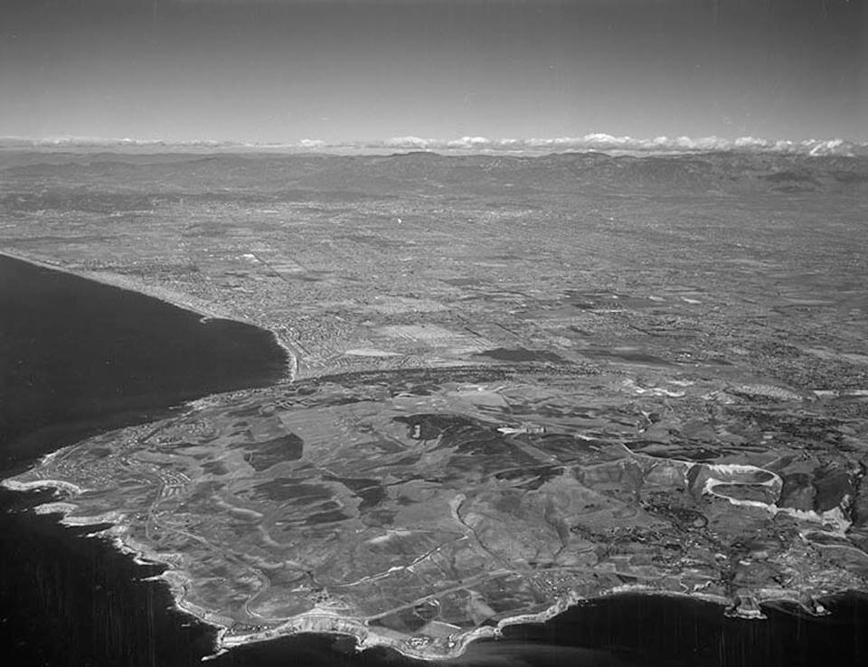 The Palos Verdes Peninsula in 1950